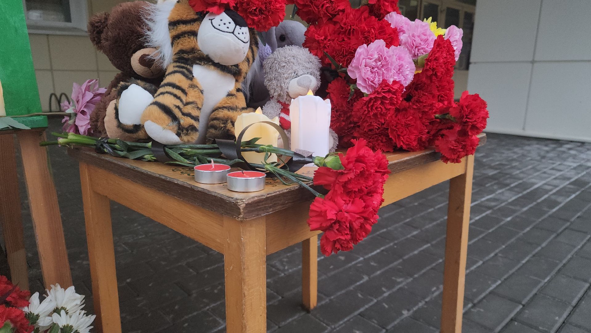 Павловский Посад, Городской округ Павловский Посад, крокус сити холл, Мемориал, Цветы, Жители,теракт,