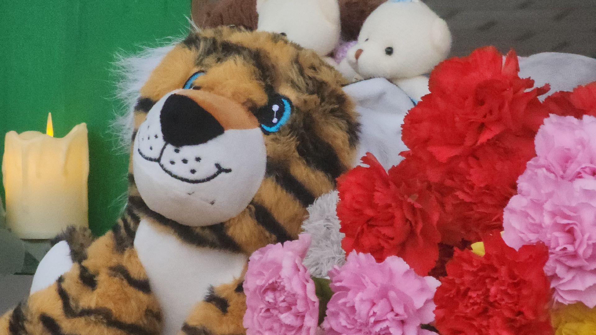 Павловский Посад, Городской округ Павловский Посад, крокус сити холл, Мемориал, Цветы, Жители,теракт,