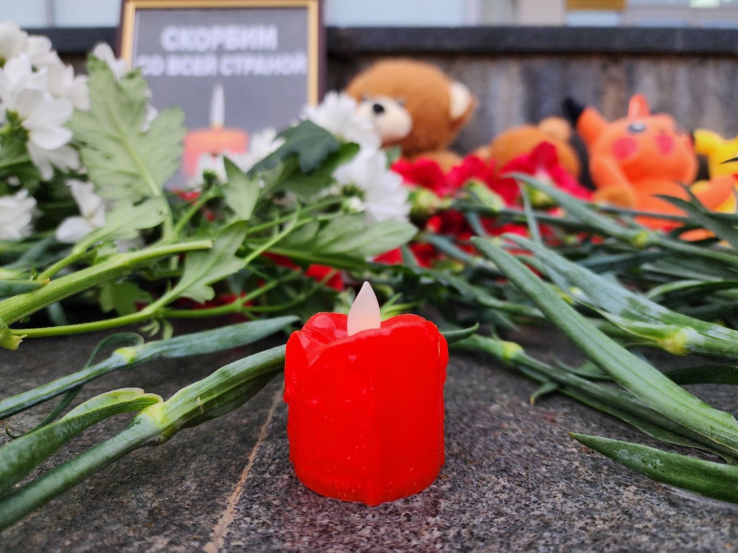 психолог, психологическая помощь, поддержка, руза скорбит, рузский городской округ, московская область, подмосковье,теракт,