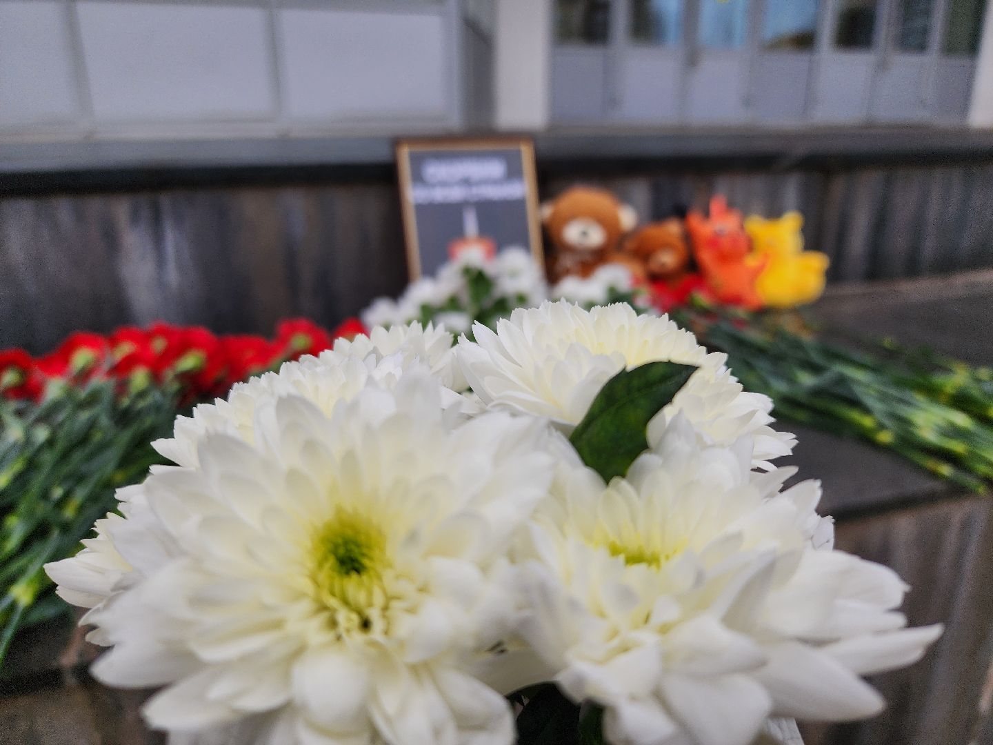 психолог, психологическая помощь, поддержка, руза скорбит, рузский городской округ, московская область, подмосковье,теракт,