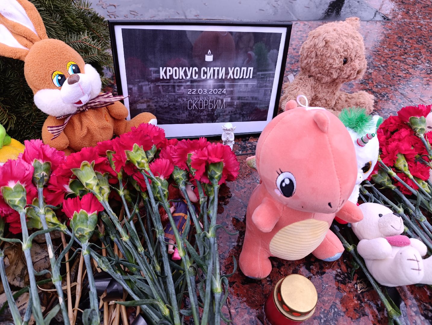 Бронницы, Мемориал, Возложение цветов, крокус сити холл,теракт,