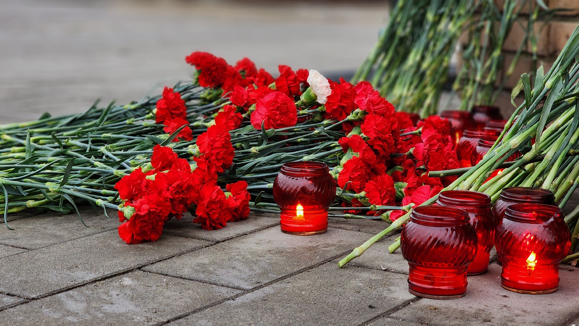 теракт, скорбим,