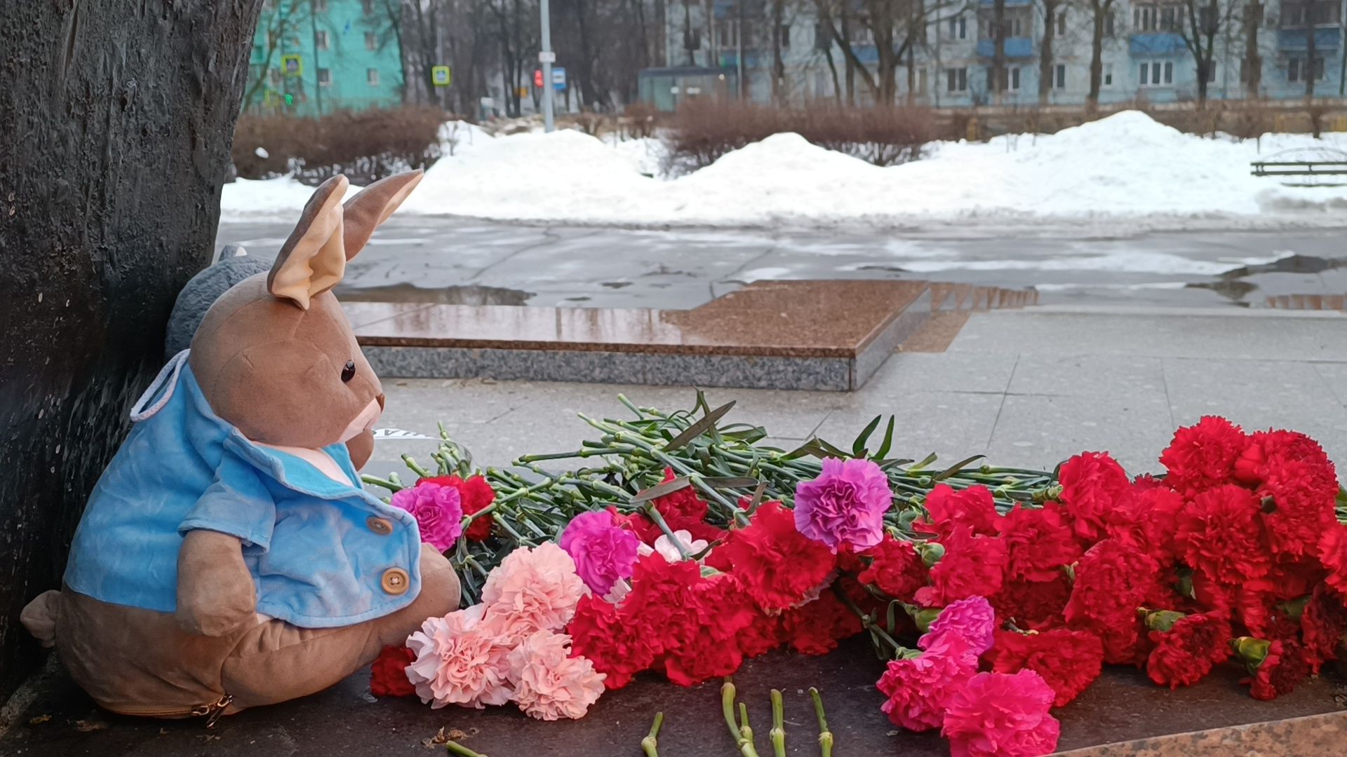 молодая гвардия, цветы, лобня, крокус сити холл,теракт,