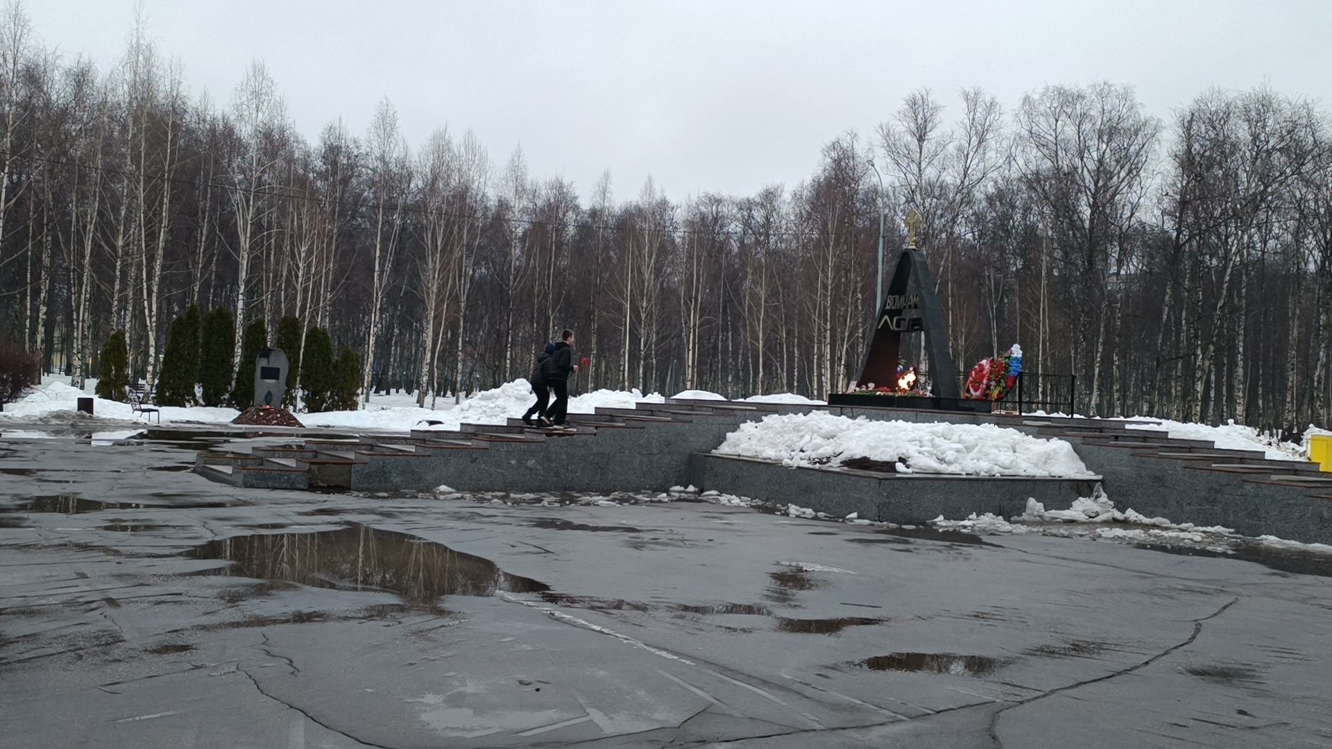 молодая гвардия, цветы, лобня, крокус сити холл,теракт,