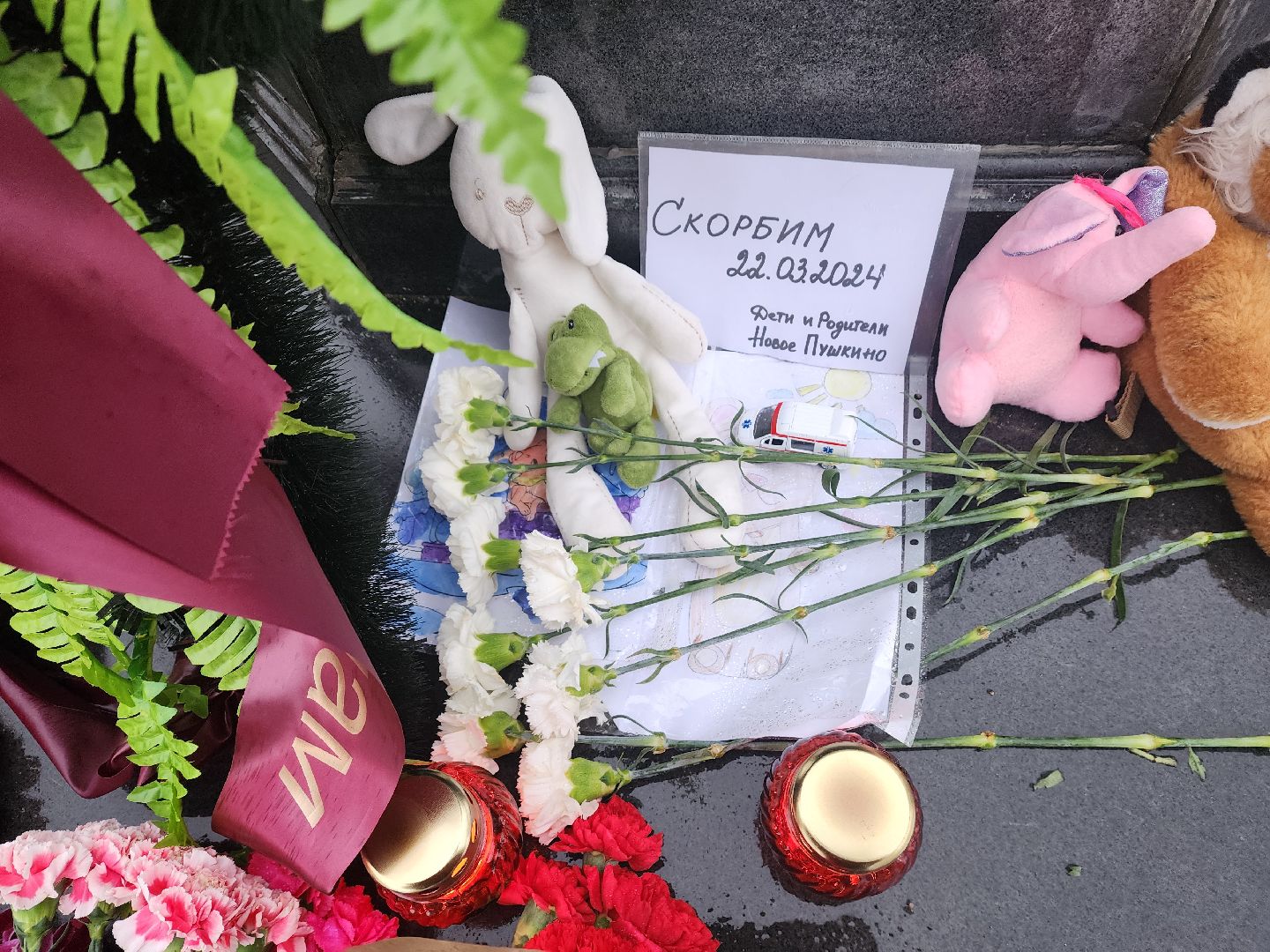 пушкино, мемориал, теракт, теракт в крокус сити холле, жители,