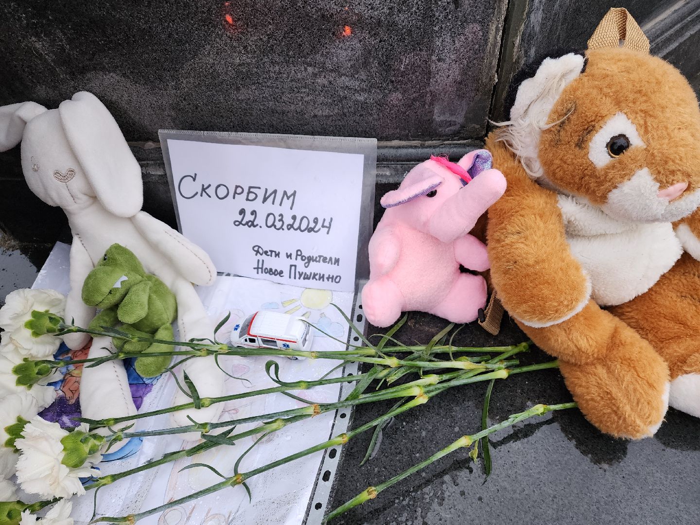 пушкино, мемориал, теракт, теракт в крокус сити холле, жители,