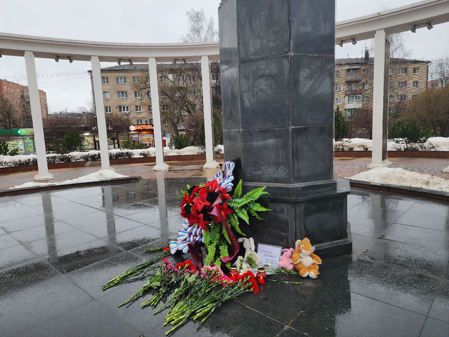 пушкино, мемориал, теракт, теракт в крокус сити холле, жители,