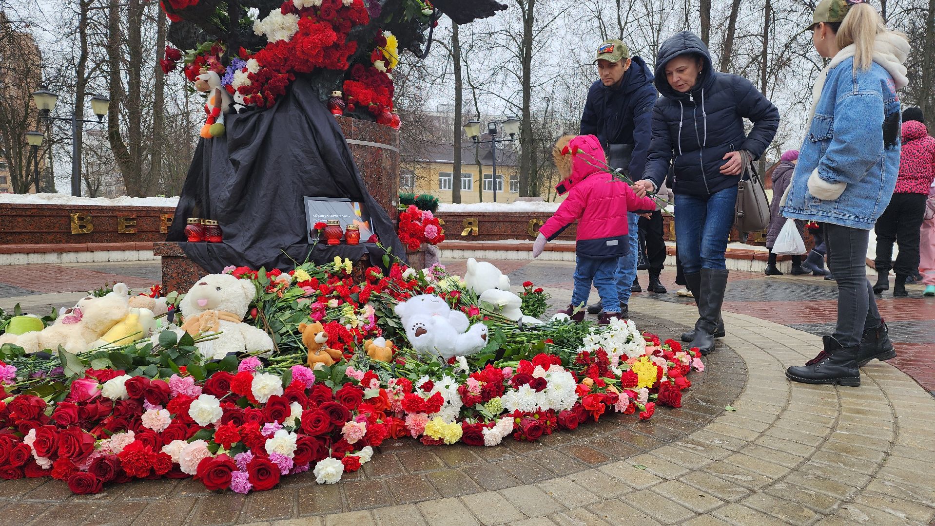 Городской округ Пушкинский, Ивантеевка, Митинг, Общество,теракт,
