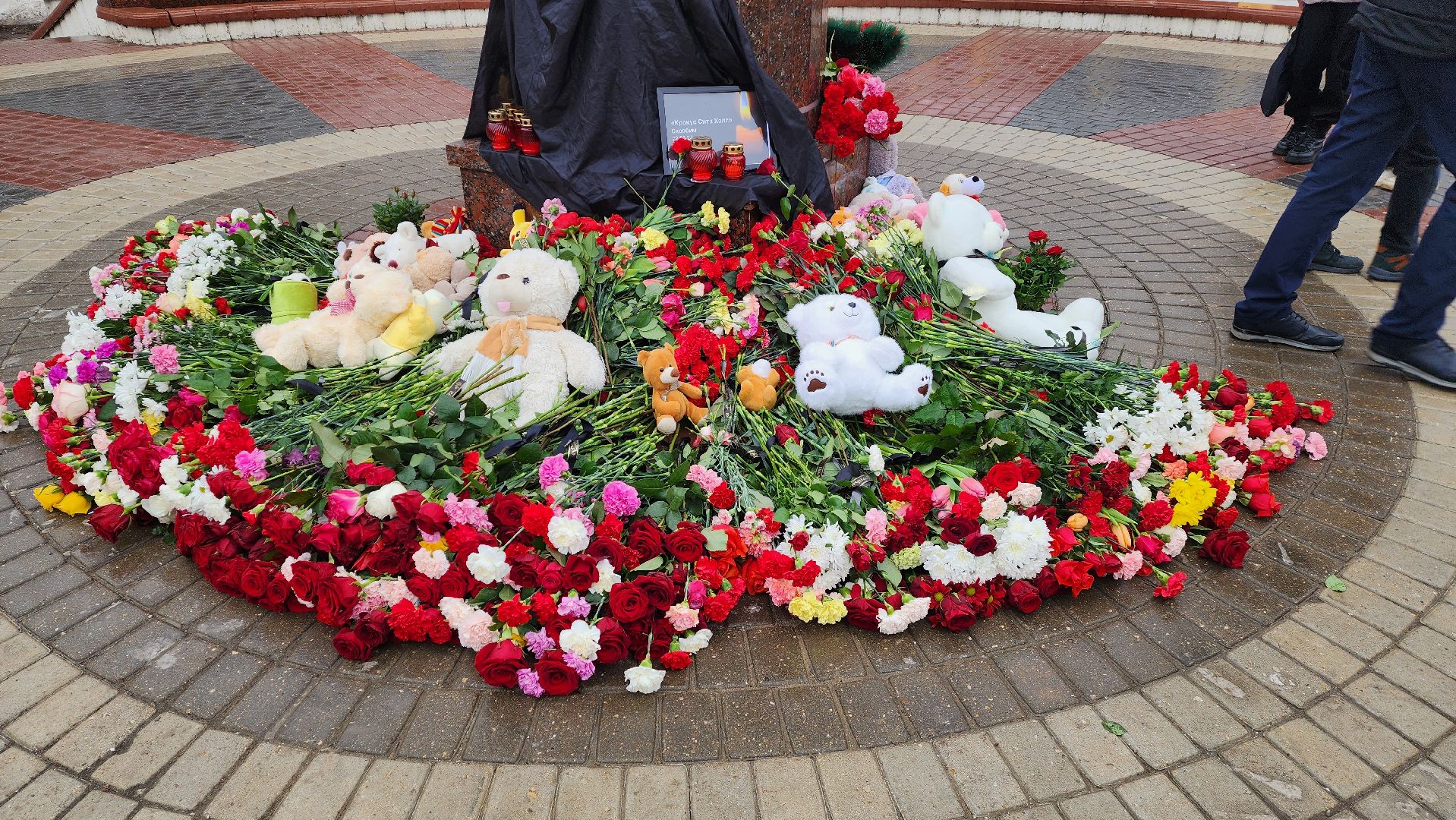 Городской округ Пушкинский, Ивантеевка, Митинг, Общество,теракт,