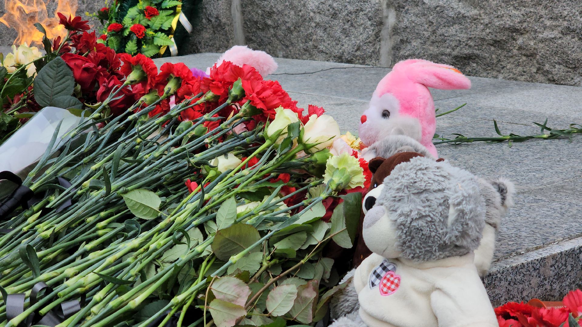 ступино,теракт,акция,