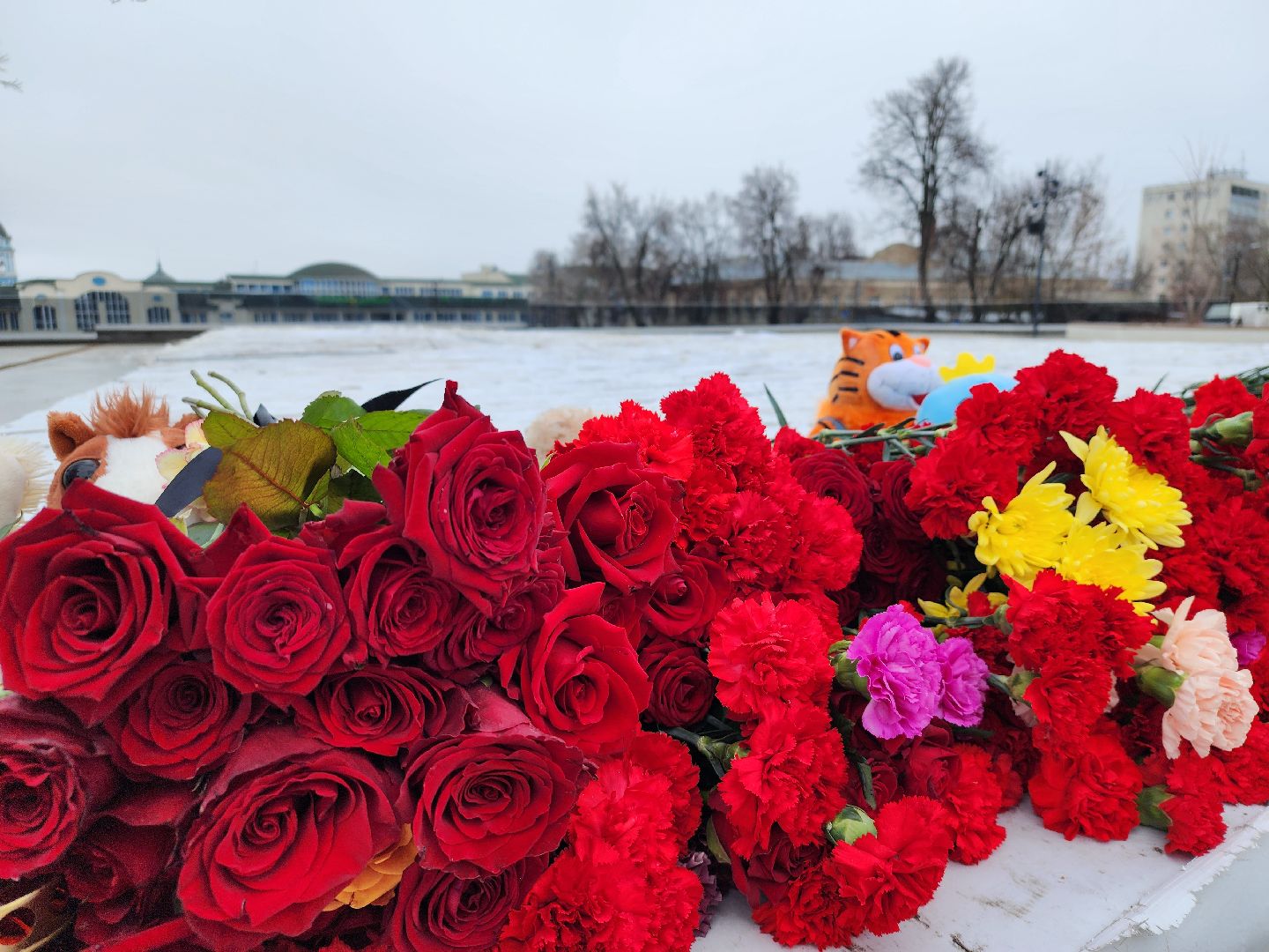 теракт, Крокус сити холл, день общенационального траура, Ногинск, Богородский городской округ,