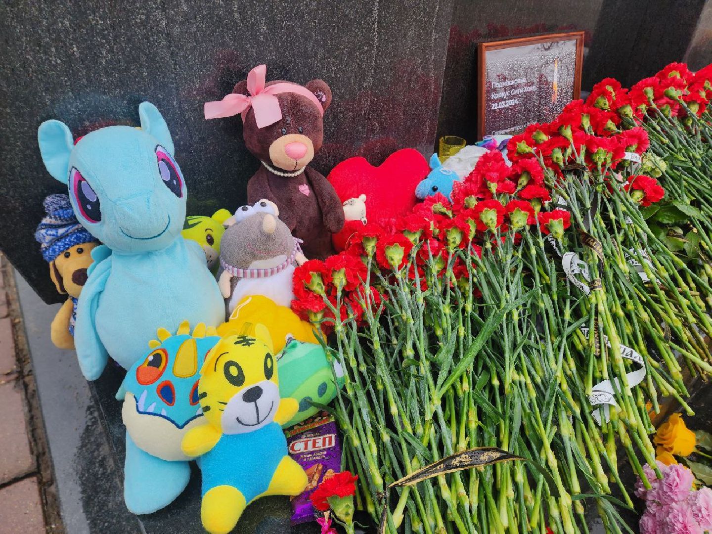 Солнечногорск, стихийный мемориал, жители, Цветы,теракт,