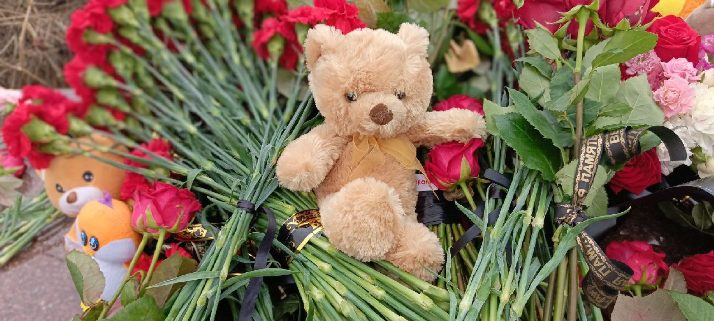 Дмитров,теракт,