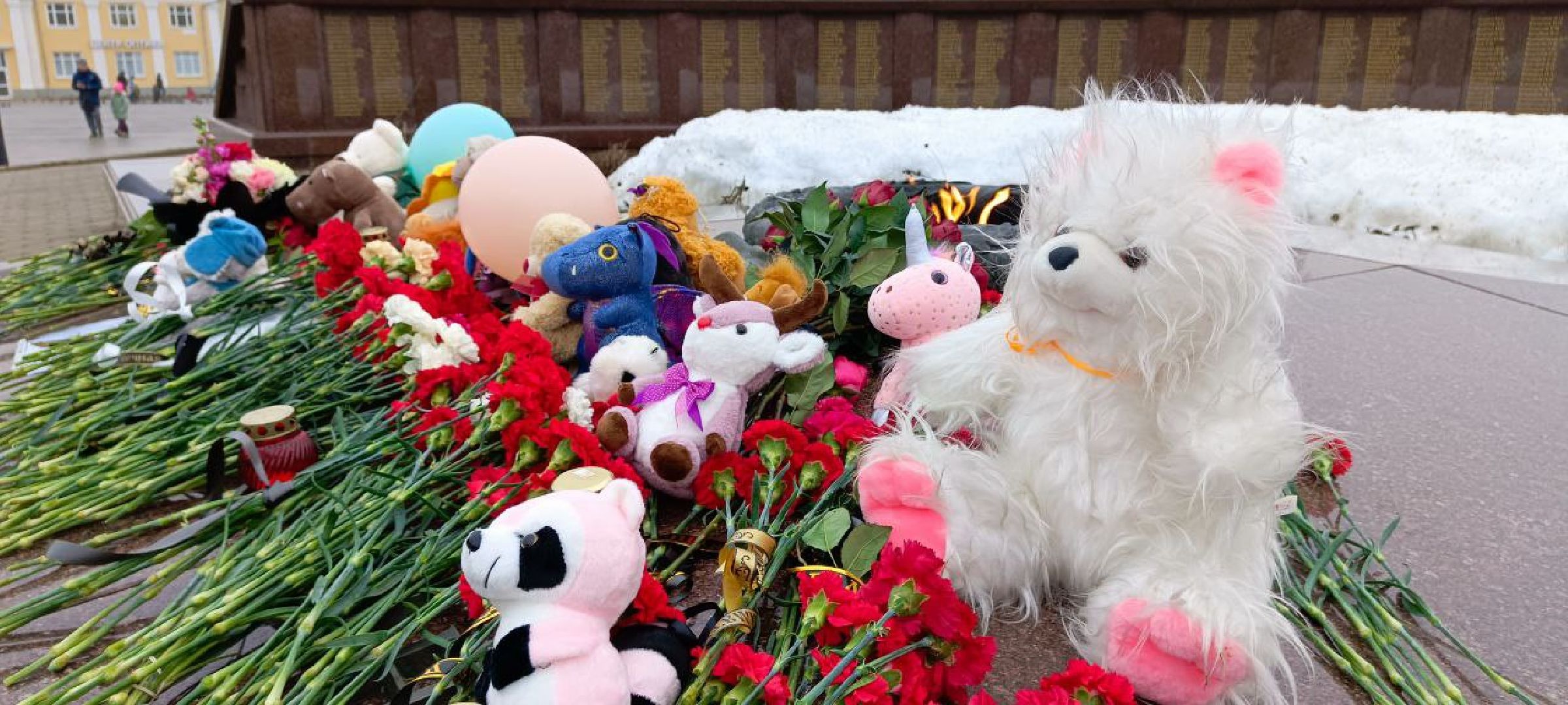 Дмитров,теракт,