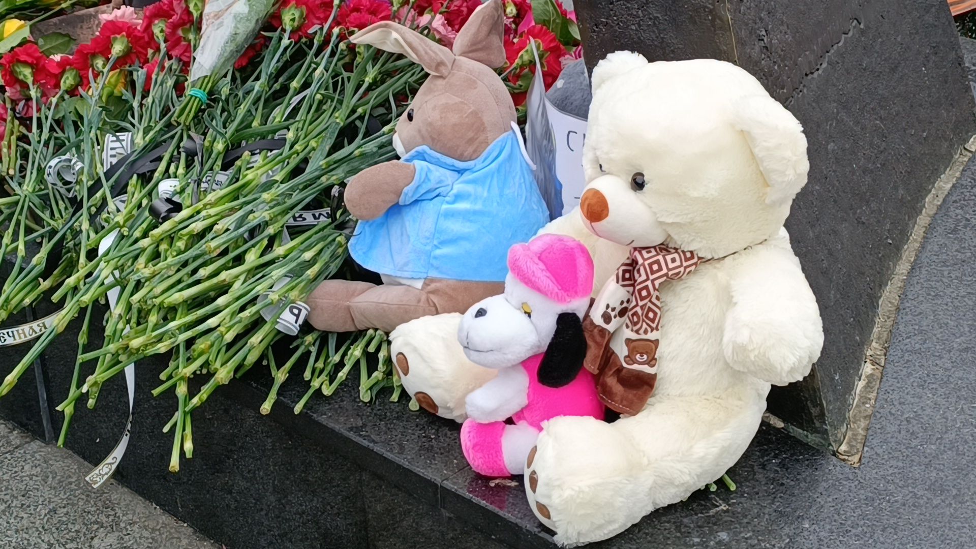 лобня, возложение цветов,теракт,