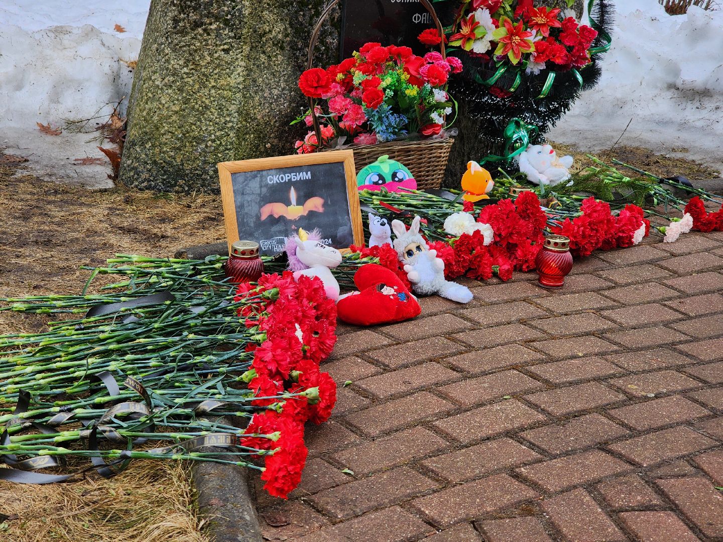 Дубна, Акция памяти, Мемориал, Донор, Медик,теракт,