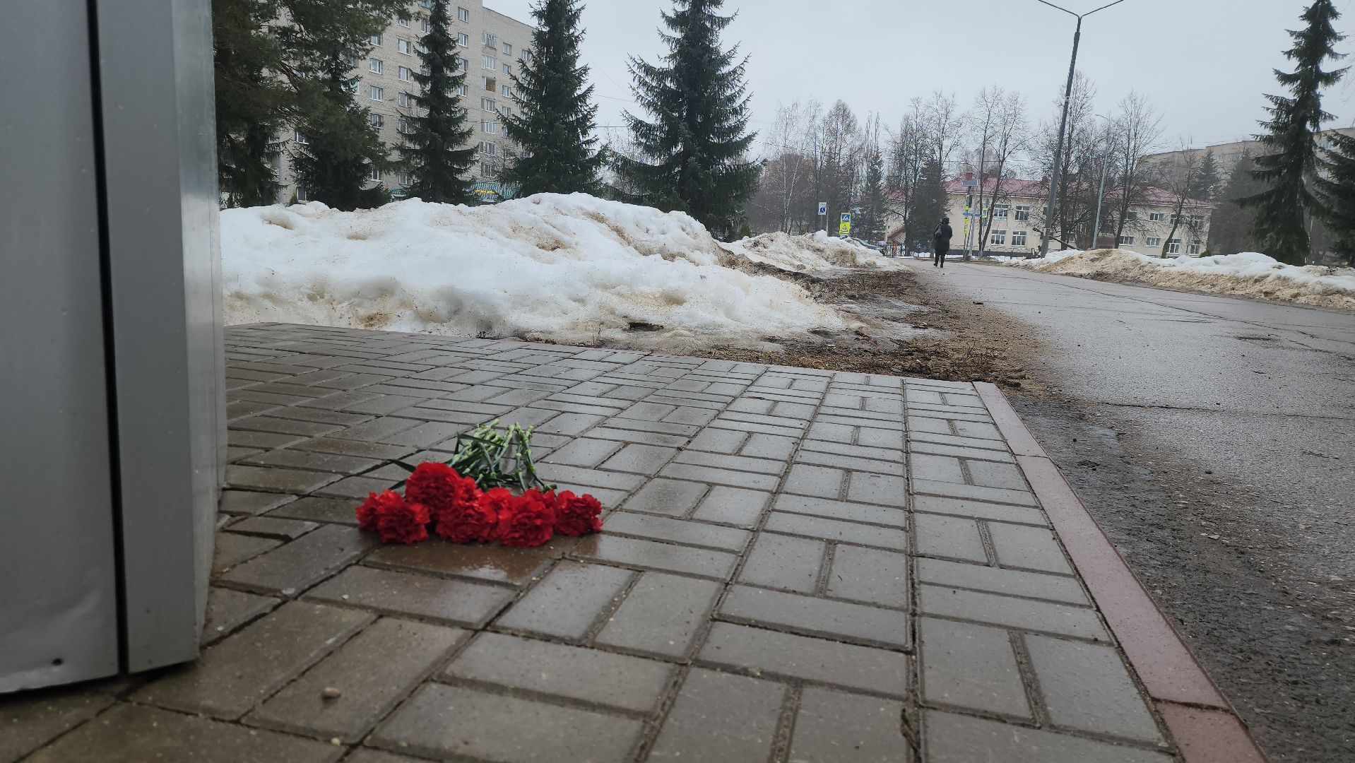 Дубна, Акция памяти, Мемориал, Донор, Медик,теракт,