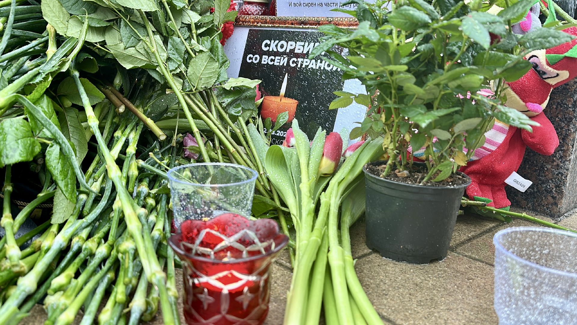 Клин, общество, теракт, память, акция памяти, Крокус,