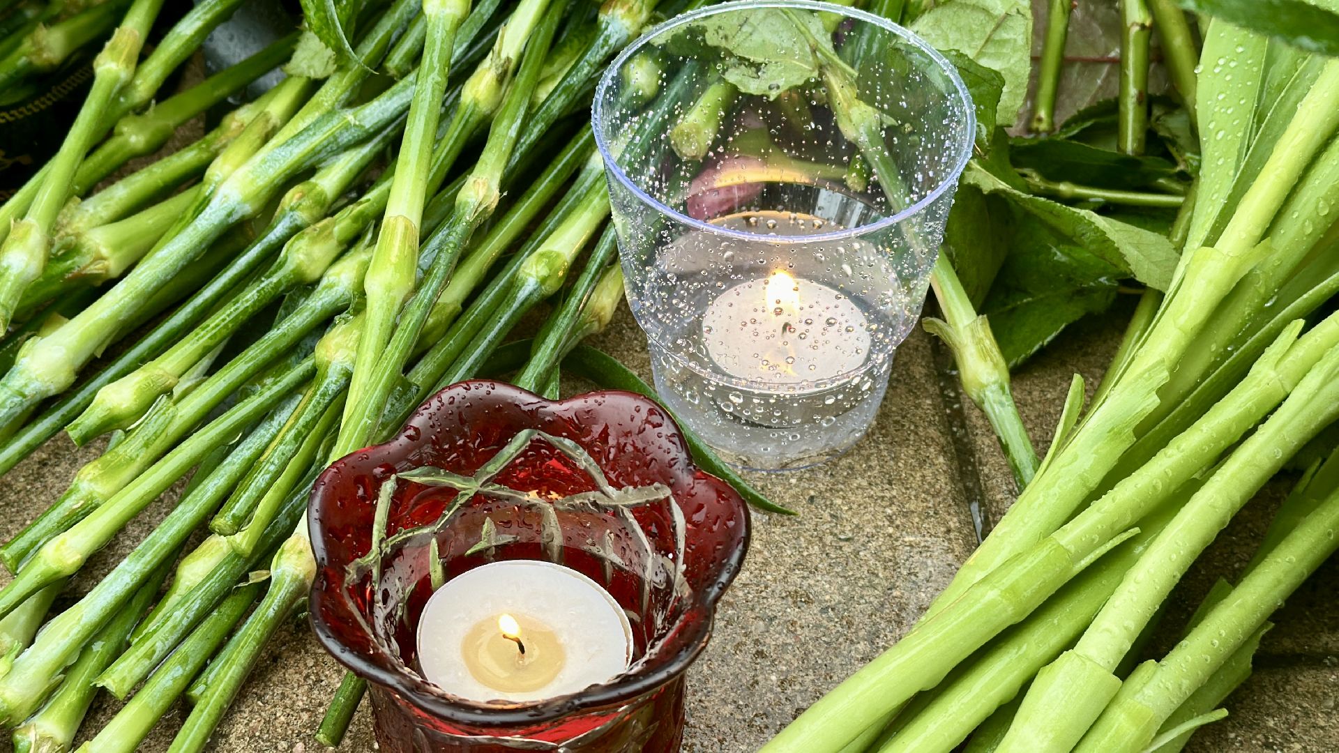 Клин, общество, теракт, память, акция памяти, Крокус,