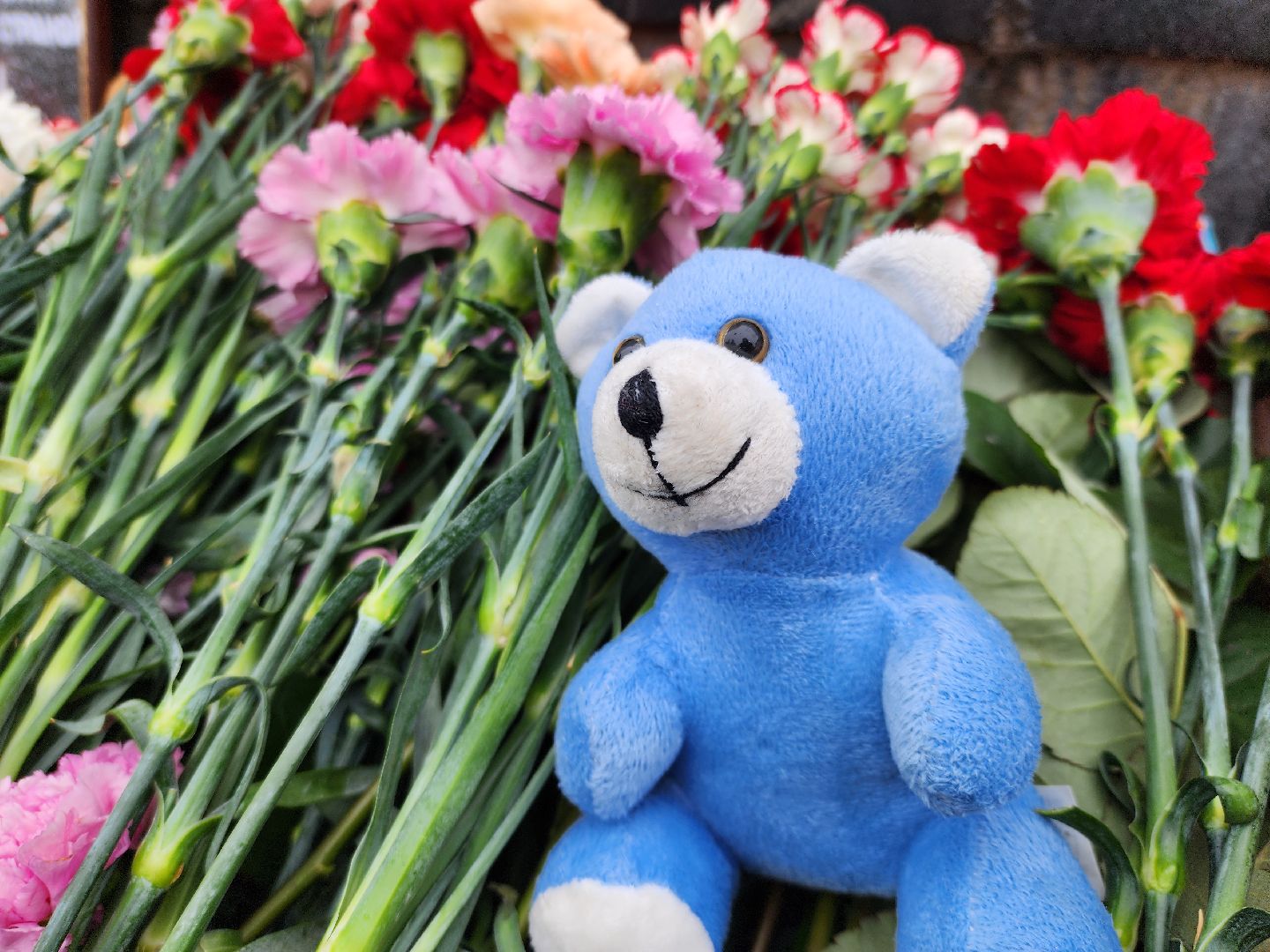 минута молчания, руза скорбит, траурный митинг, рузский городской округ, московская область, подмосковье, Руза,теракт,