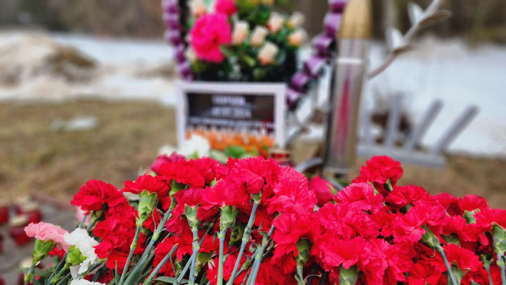 память, против терроризма, протвино, общество, крокус сити холл, теракт, теракт в крокус сити холле,