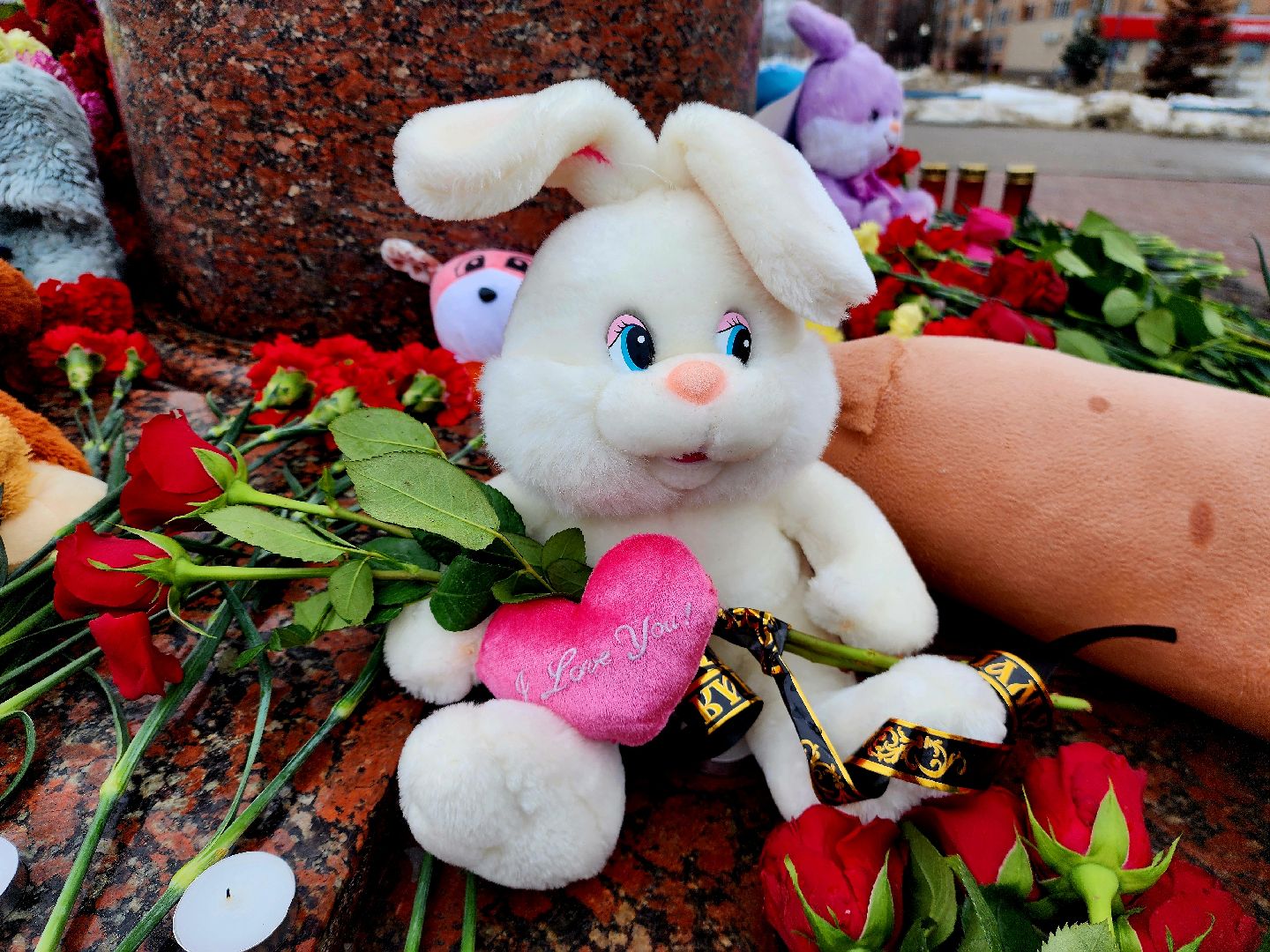 шатура, крокус сити холл, ангел добра,теракт,