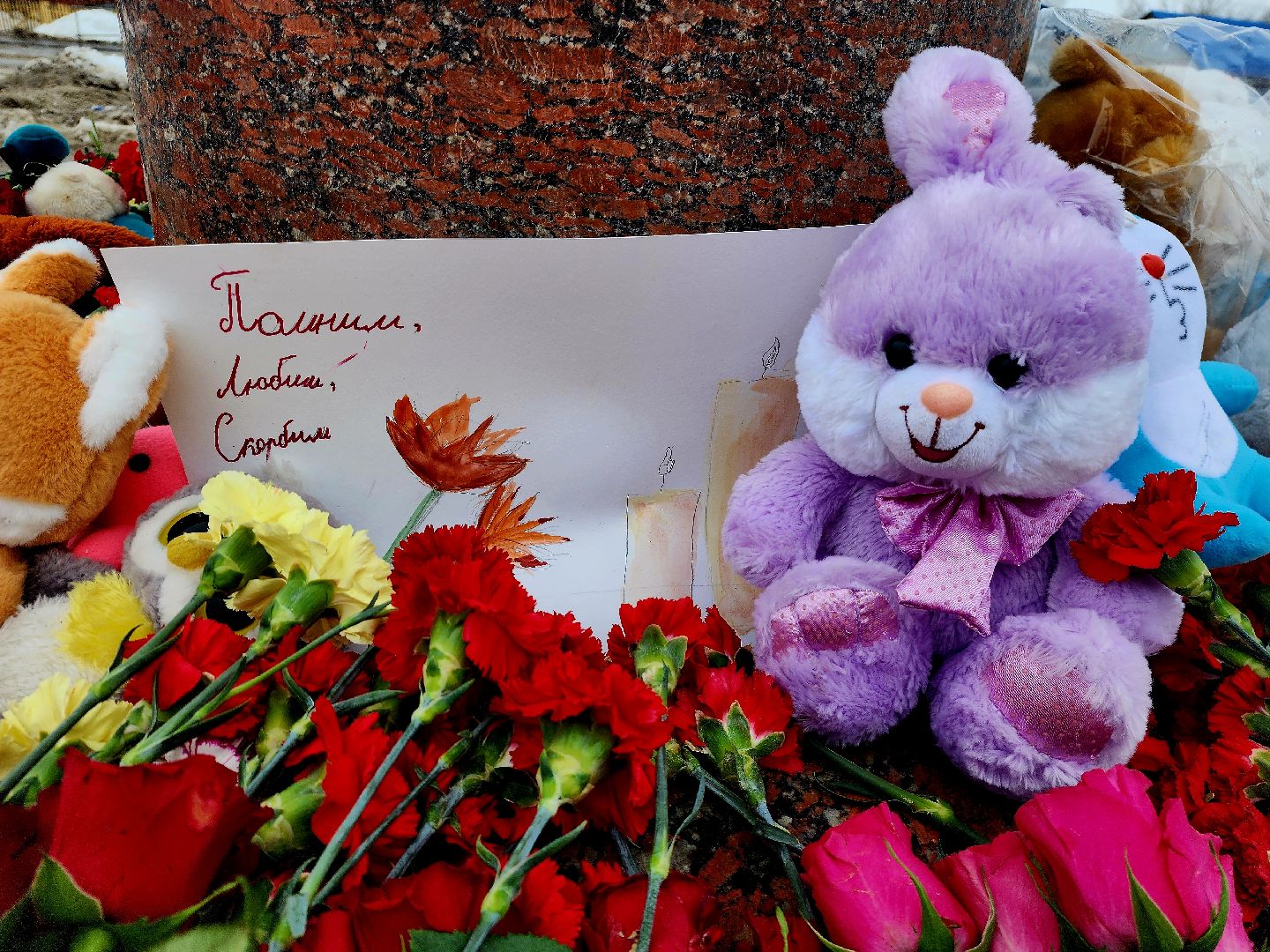 шатура, крокус сити холл, ангел добра,теракт,