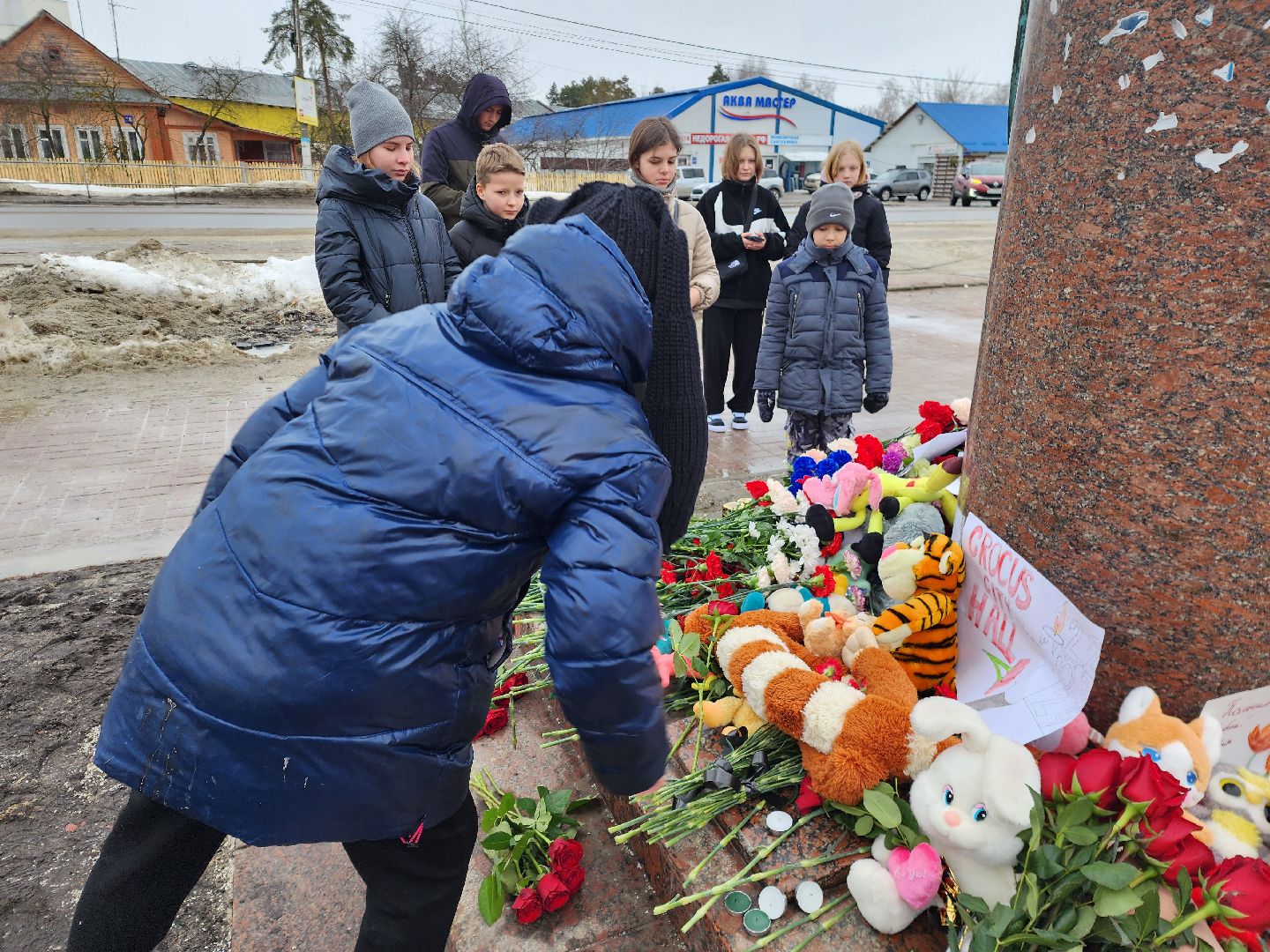 шатура, крокус сити холл, ангел добра,теракт,