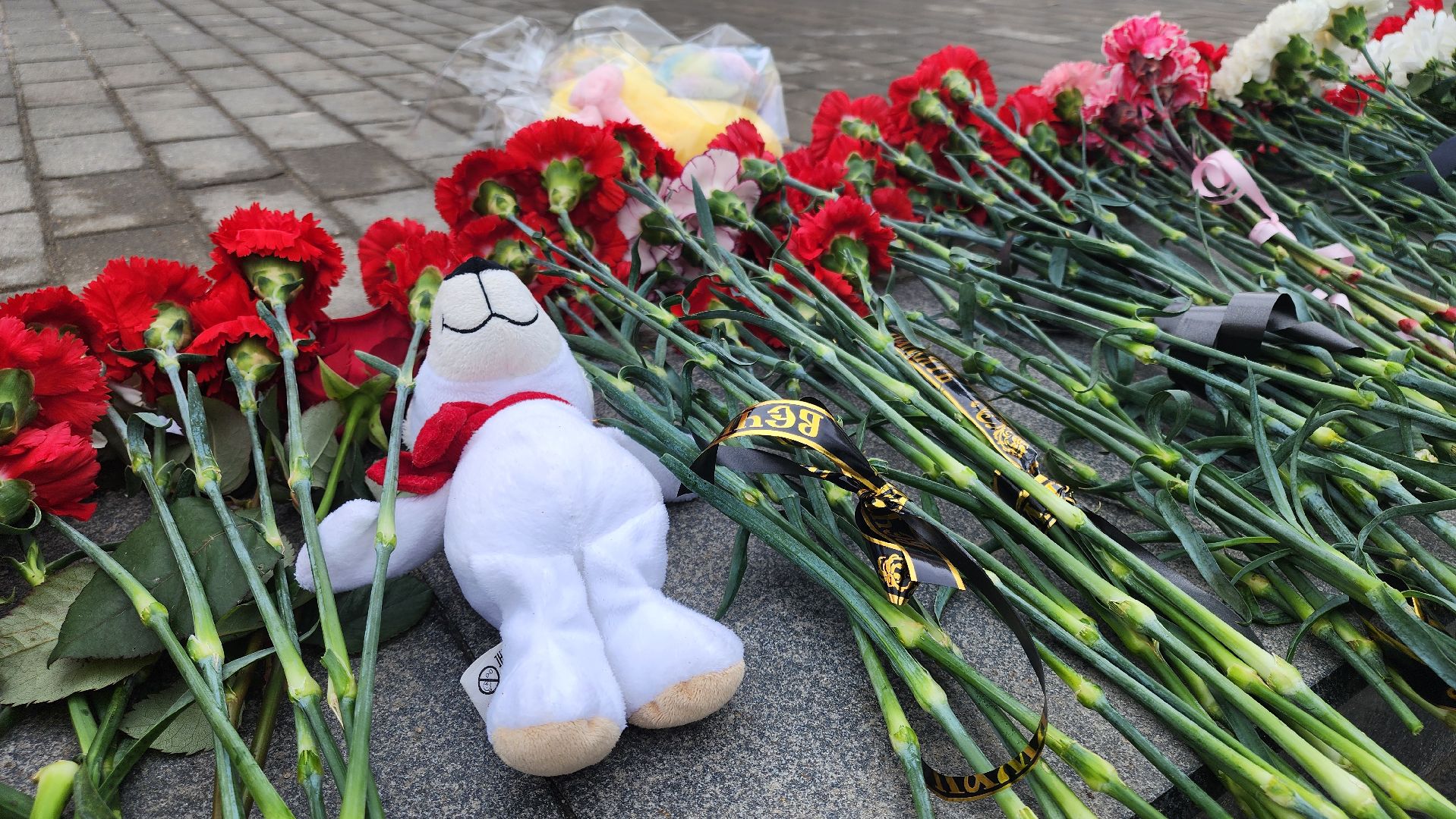 кашира, аллея славы, вечный огонь, общенациональный траур, крокус сити холл, красногорск, теракт,