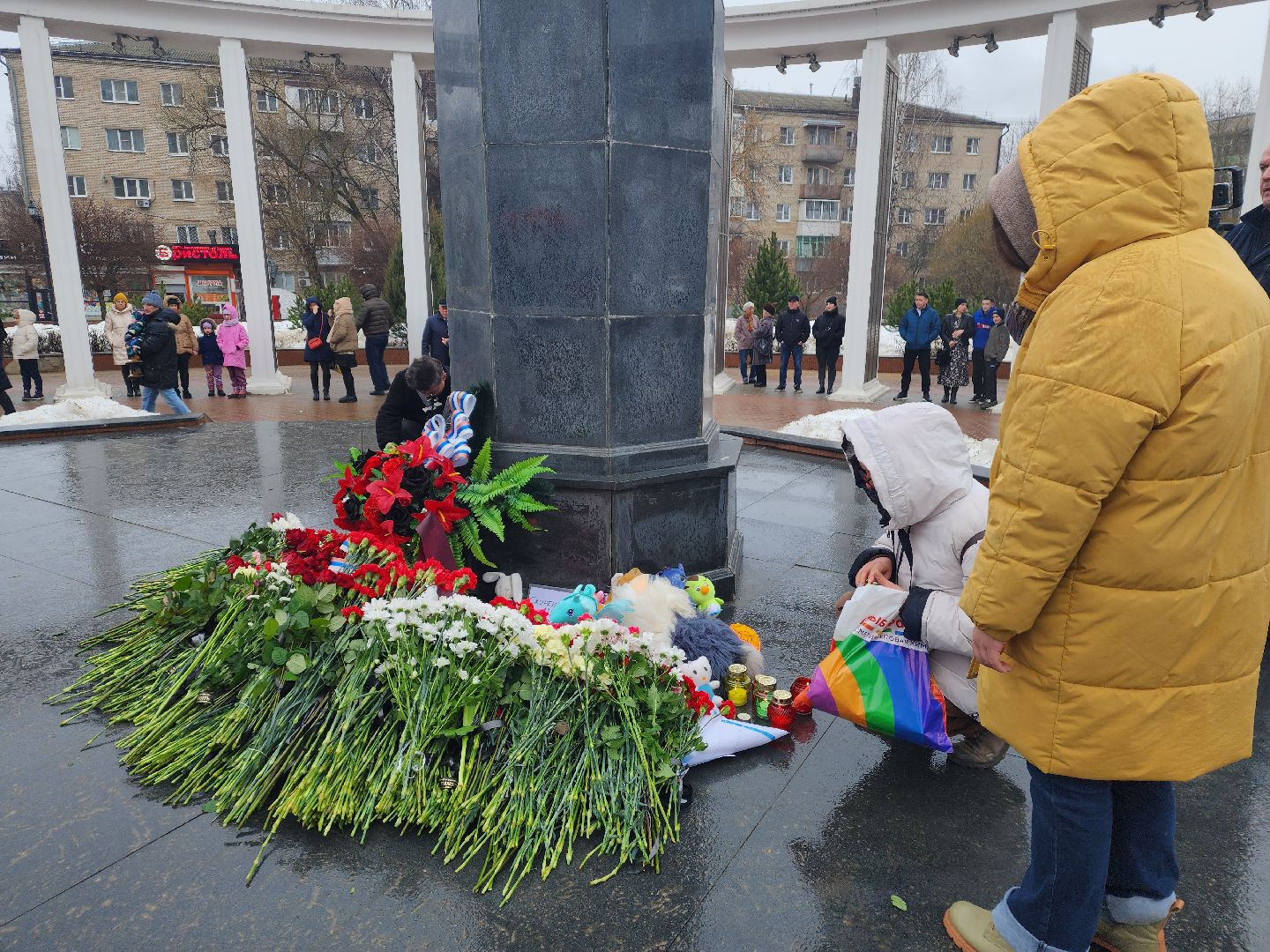 Пушкино, День траура,крокус сити, память,теракт,