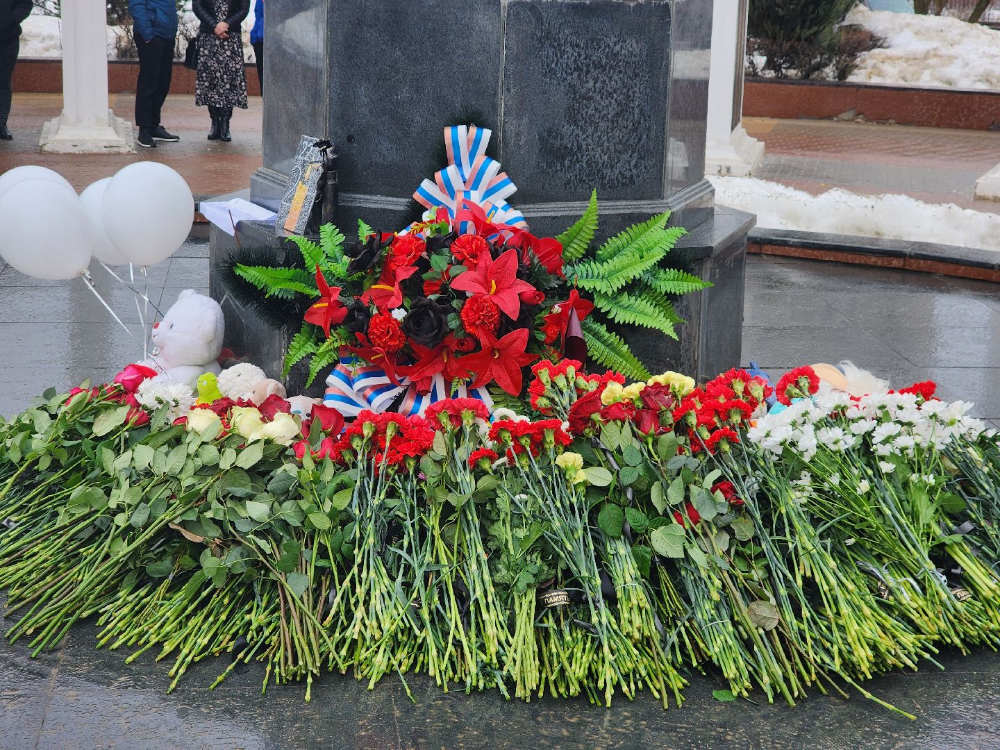 Пушкино, День траура,крокус сити, память,теракт,