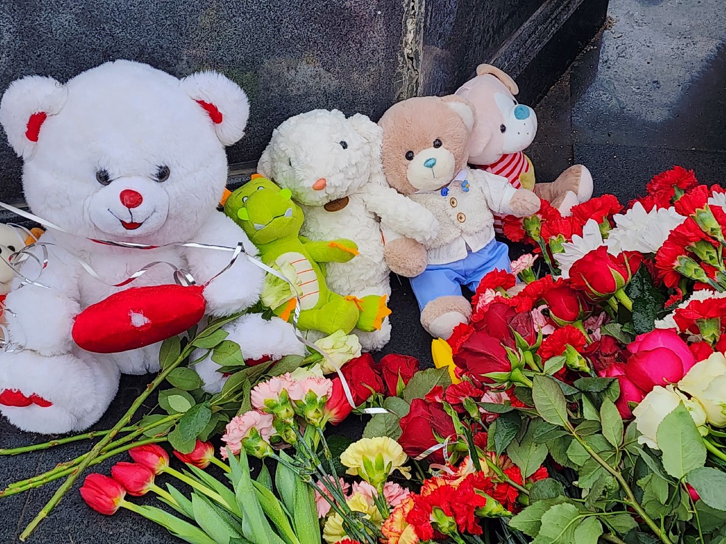 Пушкино, День траура,крокус сити, память,теракт,