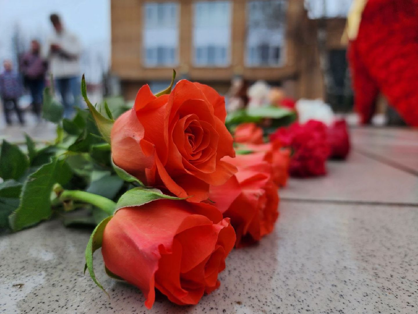 можайск, можайский городской округ, подмосковье, памятная акция, стихийный мемориал, память погибших, жители, теракт, теракт в крокус сити холле,