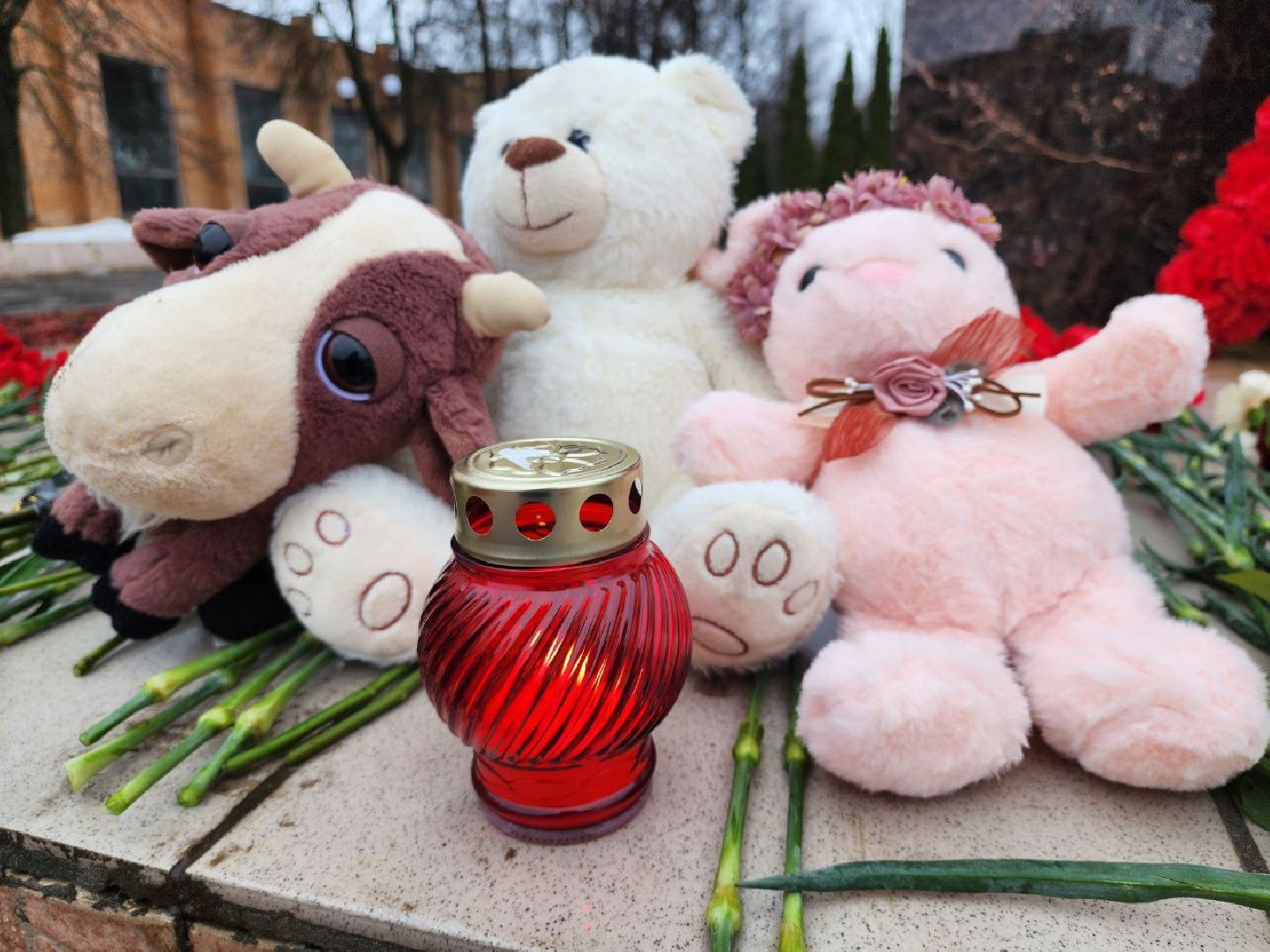 можайск, можайский городской округ, подмосковье, памятная акция, стихийный мемориал, память погибших, жители, теракт, теракт в крокус сити холле,