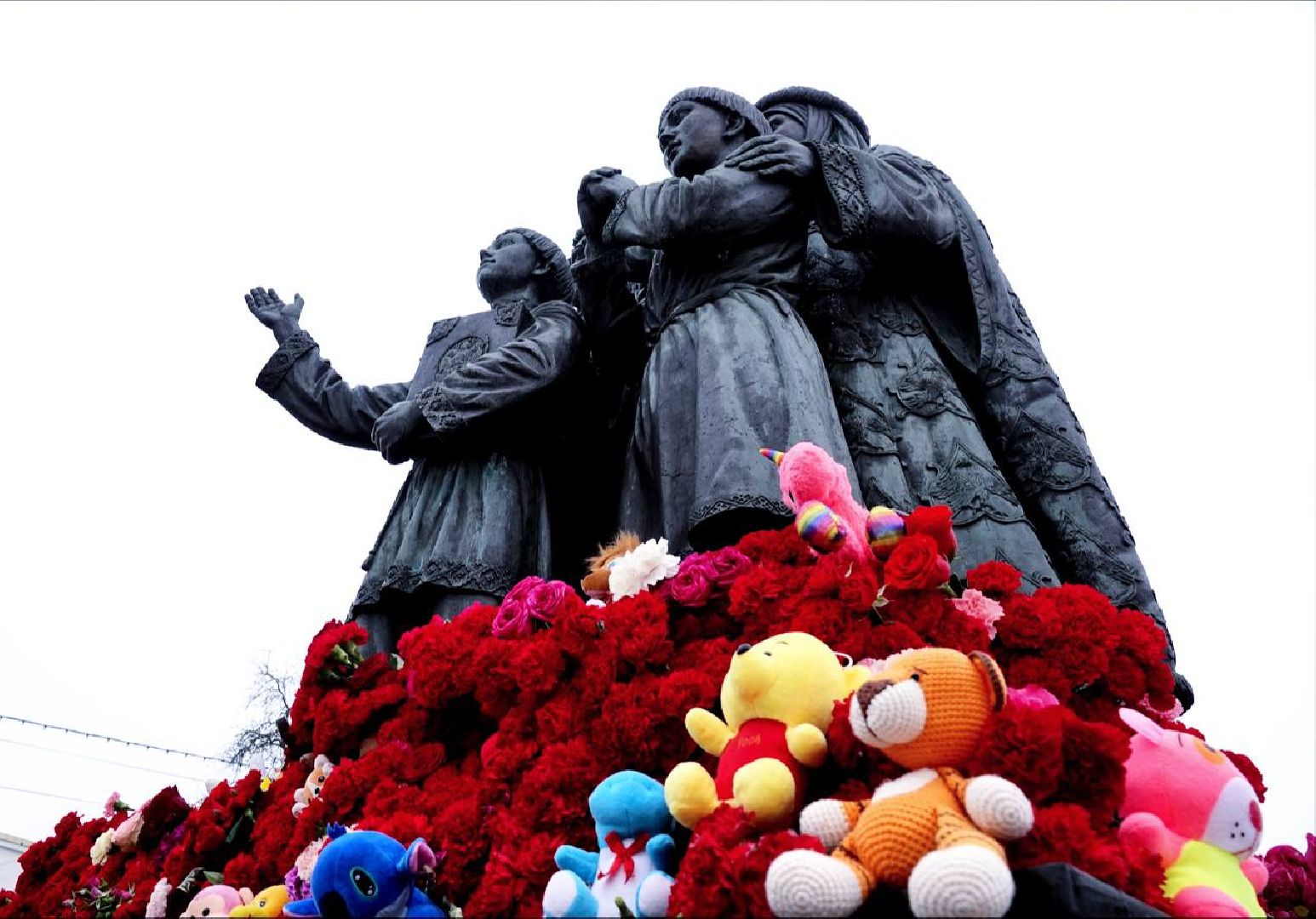 Скорбь, Память, Сергиев Посад, Единство,теракт,