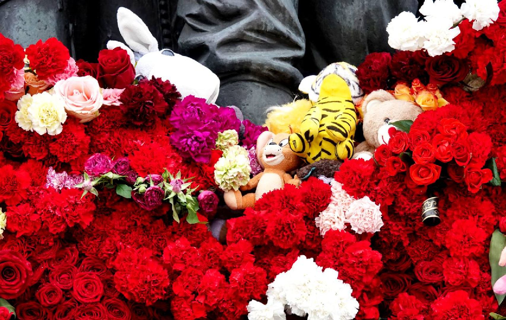 Скорбь, Память, Сергиев Посад, Единство,теракт,