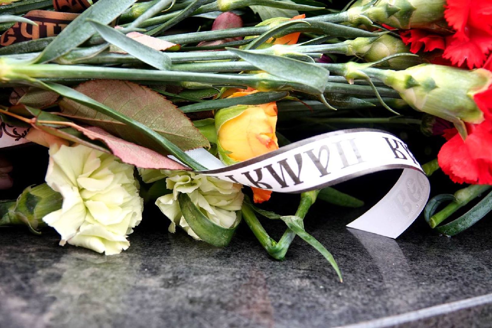 Скорбь, Память, Сергиев Посад, Единство,теракт,