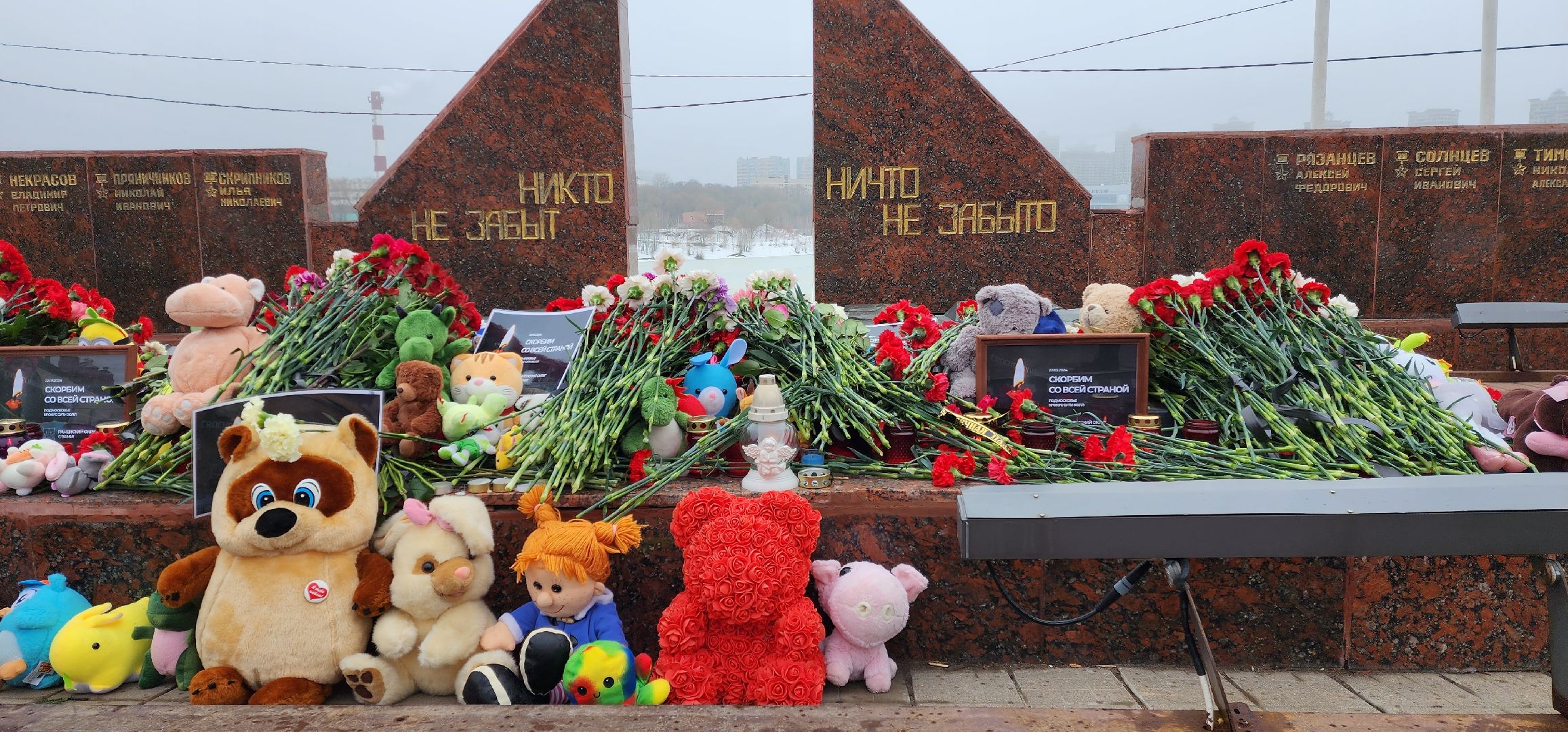 раменское, общество, день траура и скорби по погибшим в Красногрске,теракт,