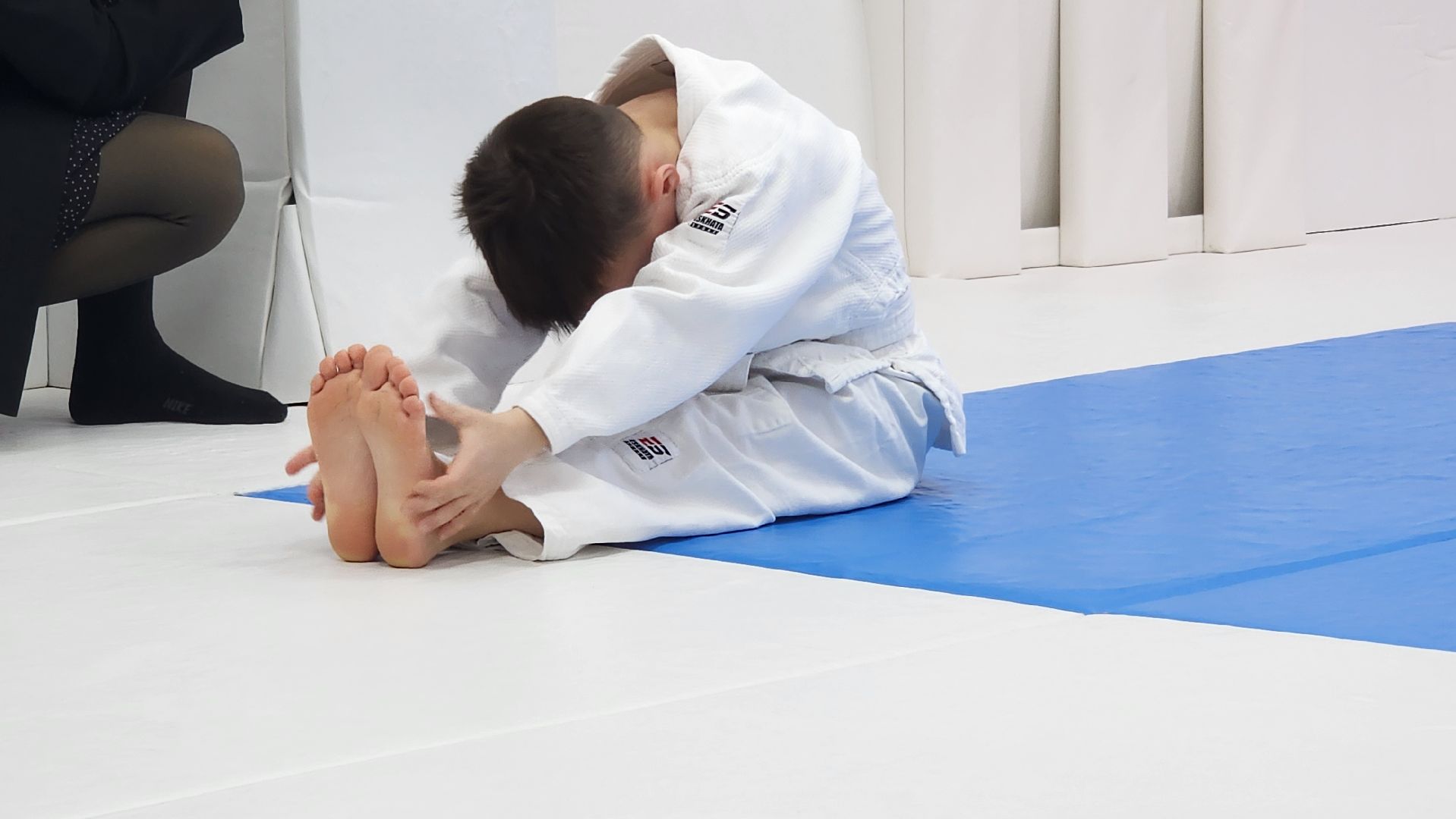 Подмосковье, Городской округ Пушкинский, Ивантеевка, Спорт, Дзюдо,