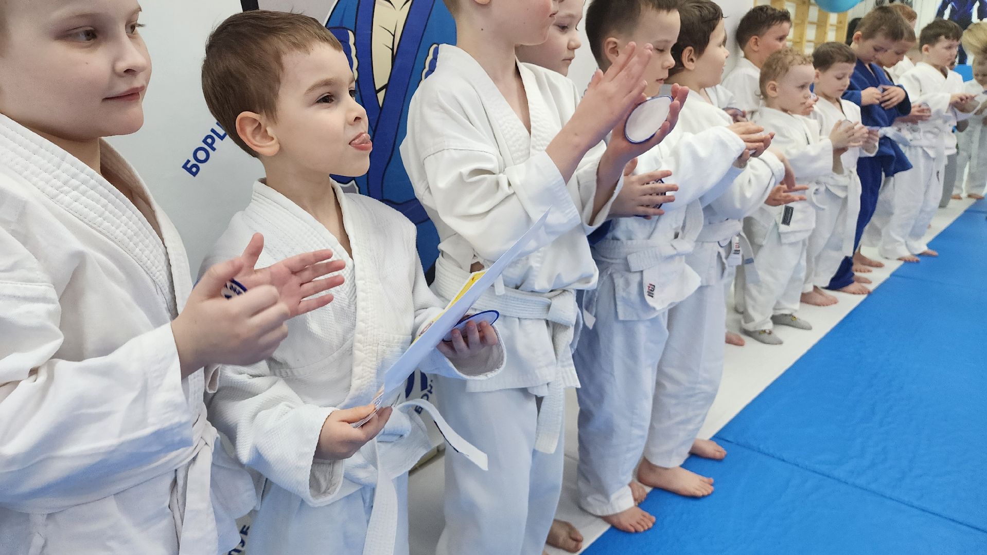 Подмосковье, Городской округ Пушкинский, Ивантеевка, Спорт, Дзюдо,