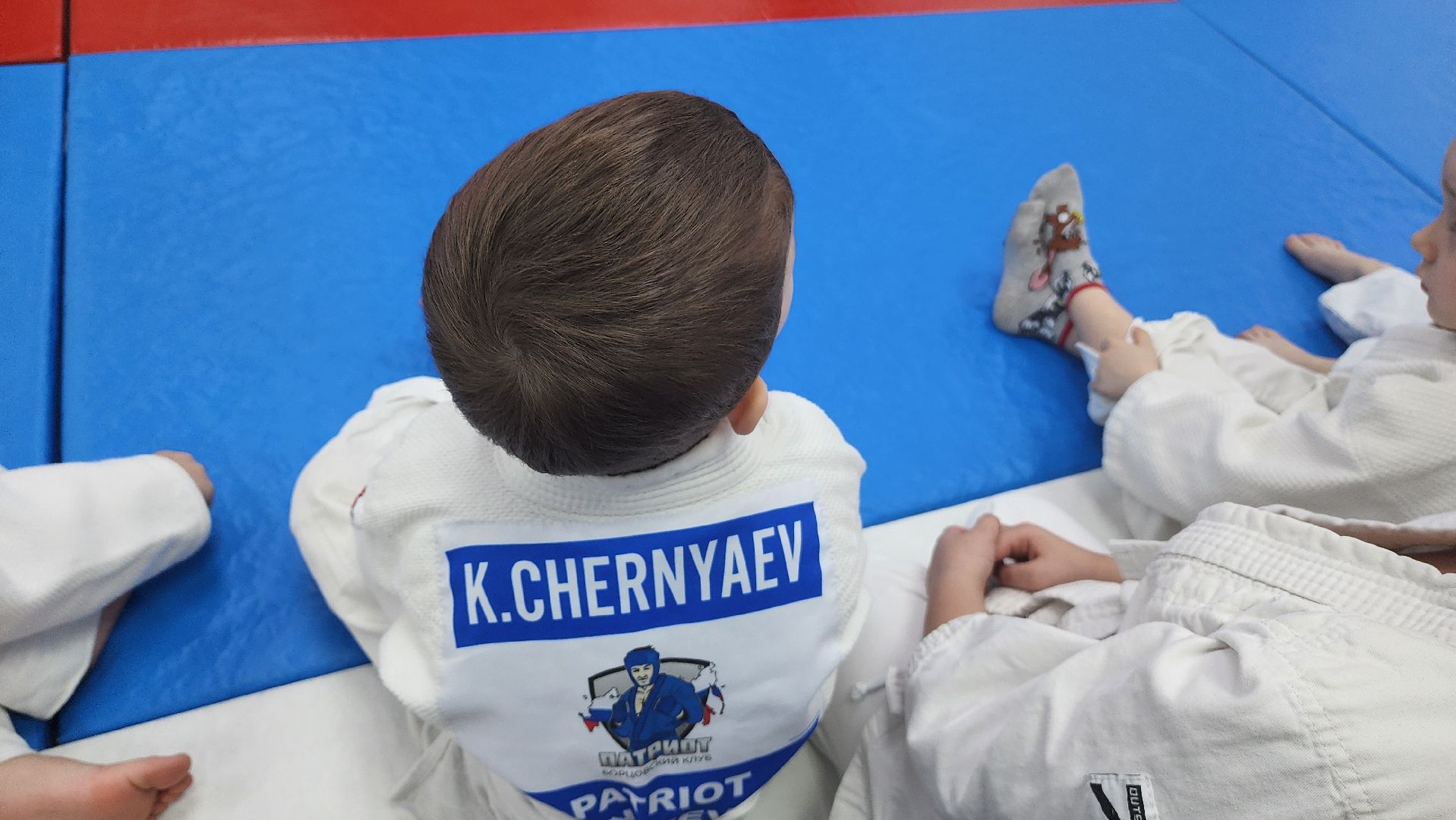 Подмосковье, Городской округ Пушкинский, Ивантеевка, Спорт, Дзюдо,