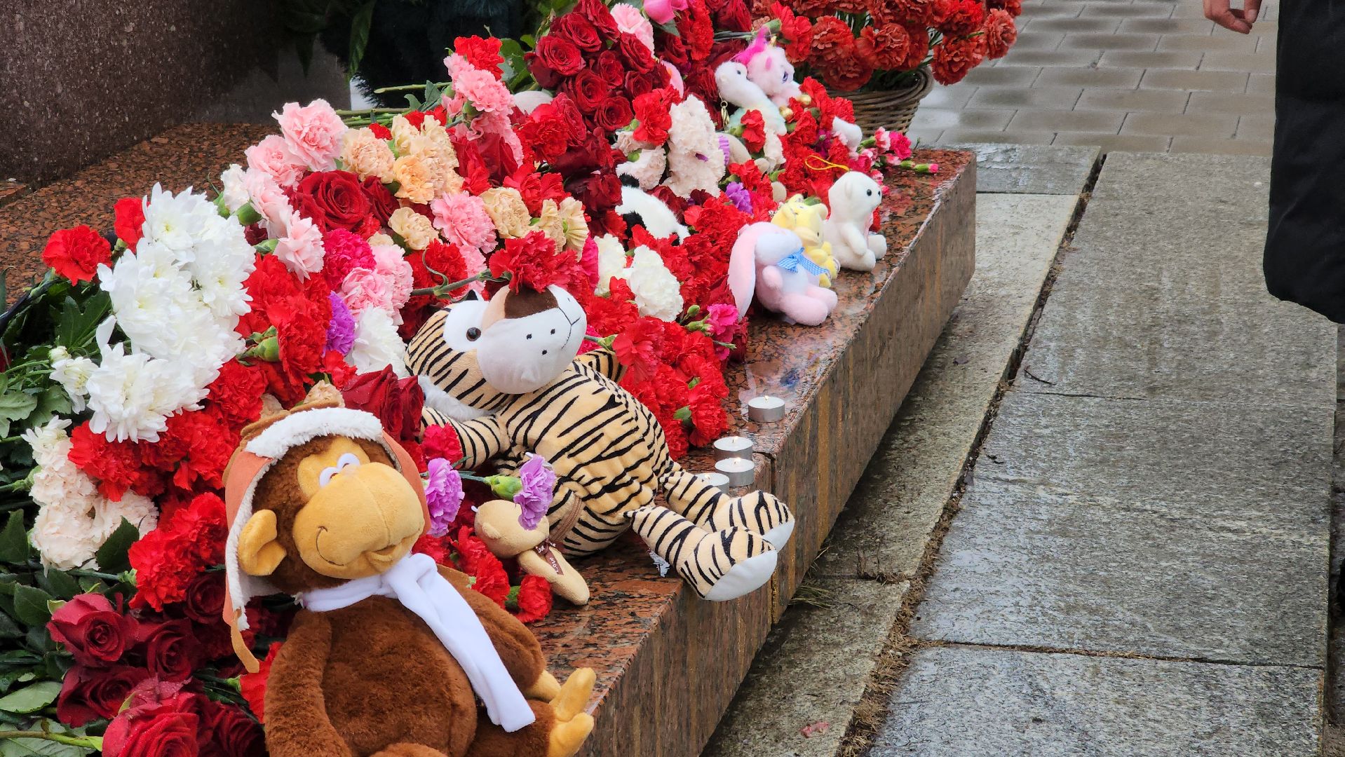 долгопрудный, теракт, акция,