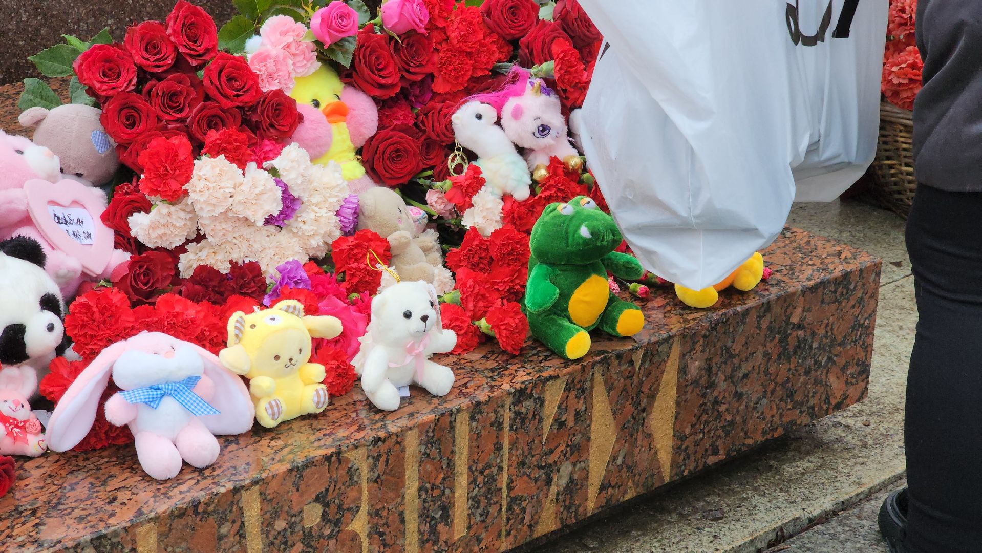 долгопрудный, теракт, акция,