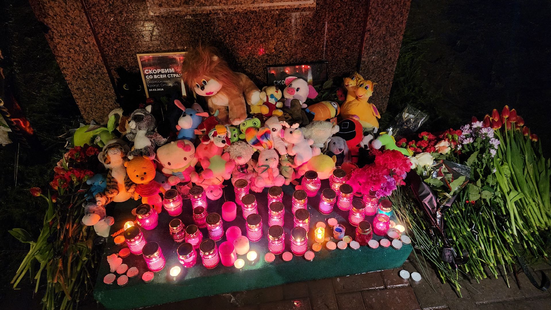 егорьевск, Подмосковье, Московская область, свеча памяти, траурный митинг,теракт,