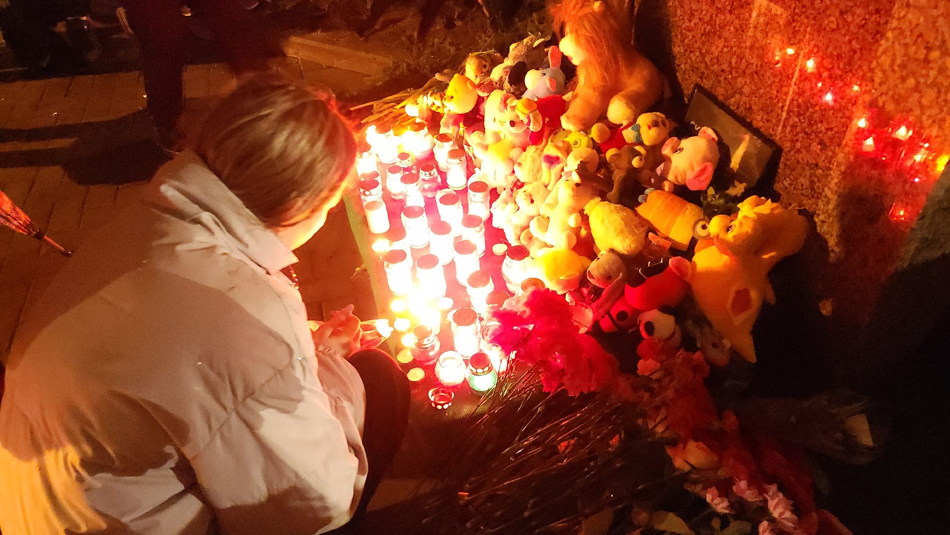 егорьевск, Подмосковье, Московская область, свеча памяти, траурный митинг,теракт,