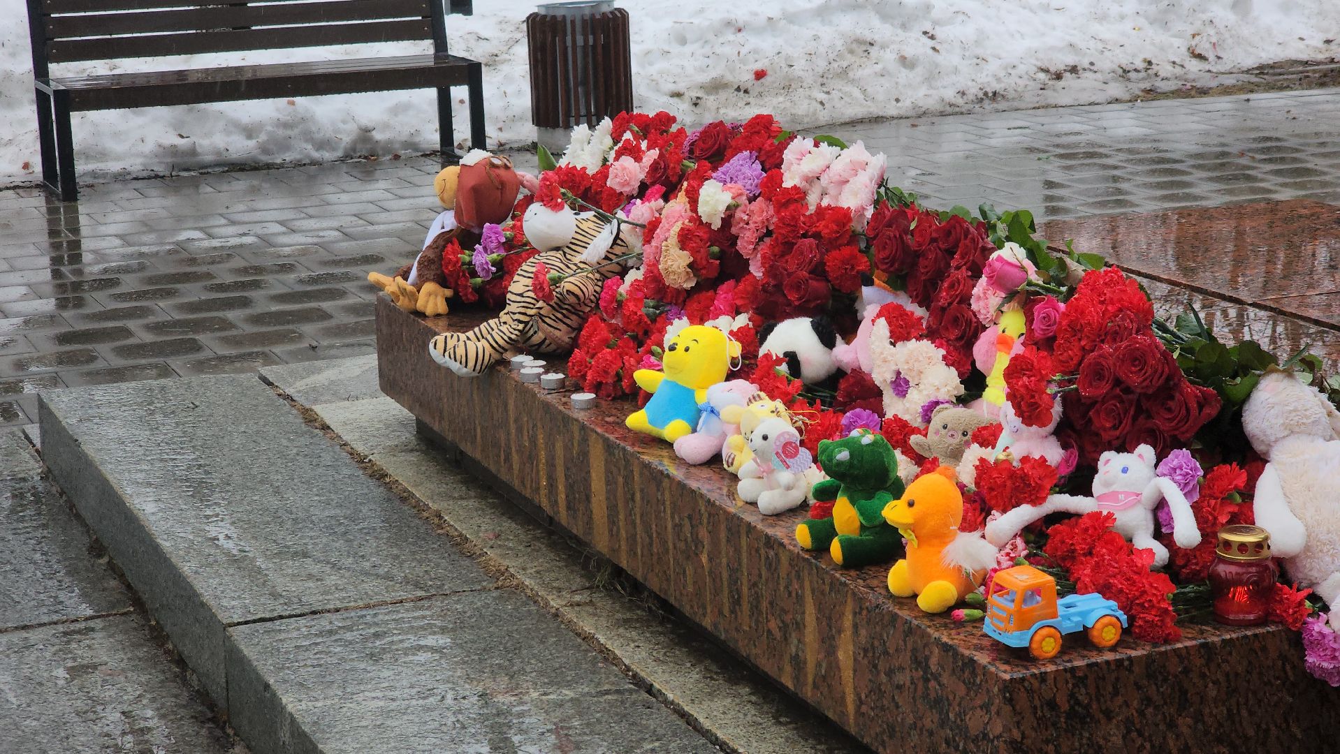 долгопрудный, теракт, крокус сити холл, пострадавшие, КПРФ,