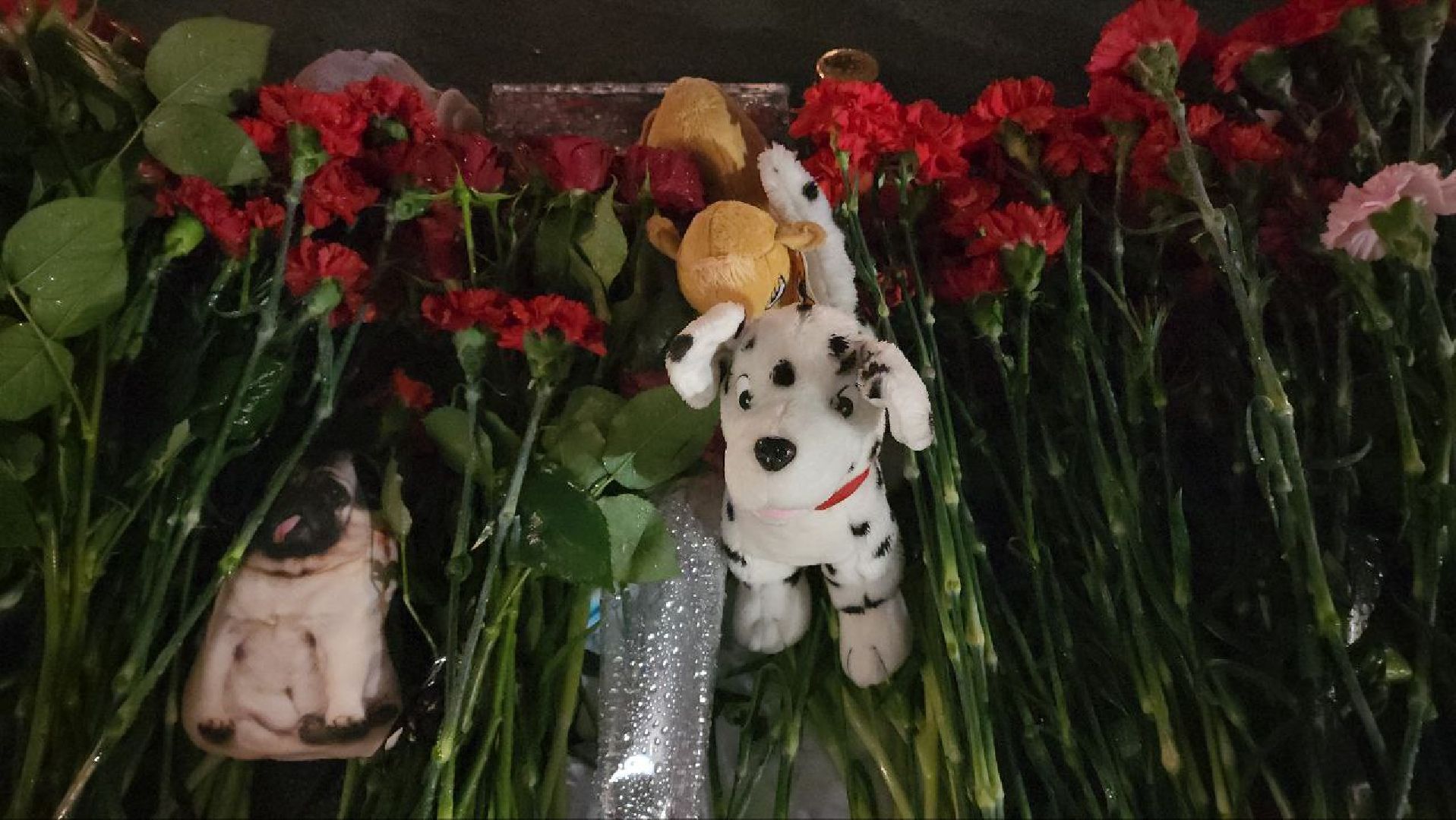 Реутов, теракт, крокус сити холл, акция, свеча памяти,