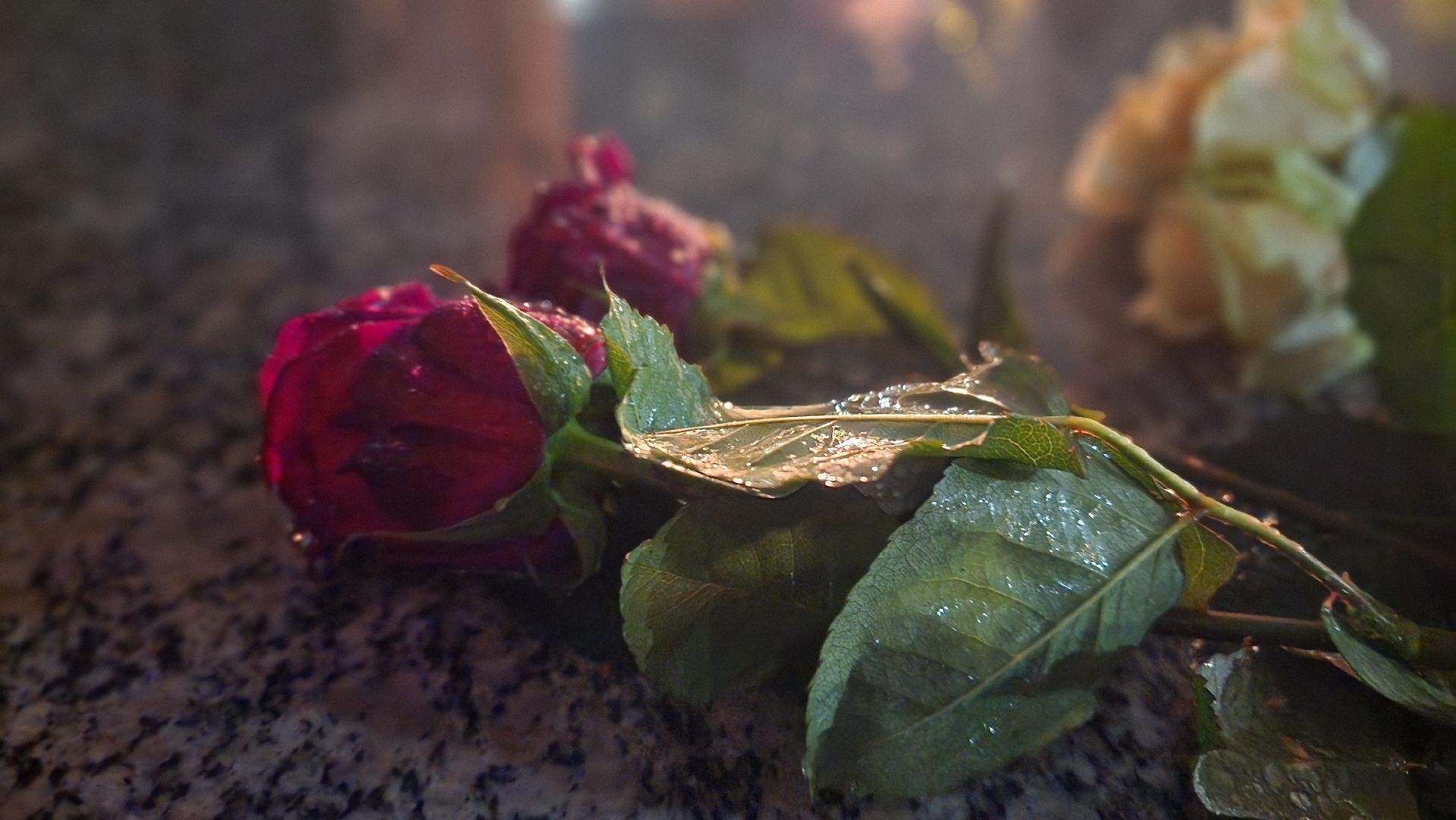 ступино,теракт, акция,