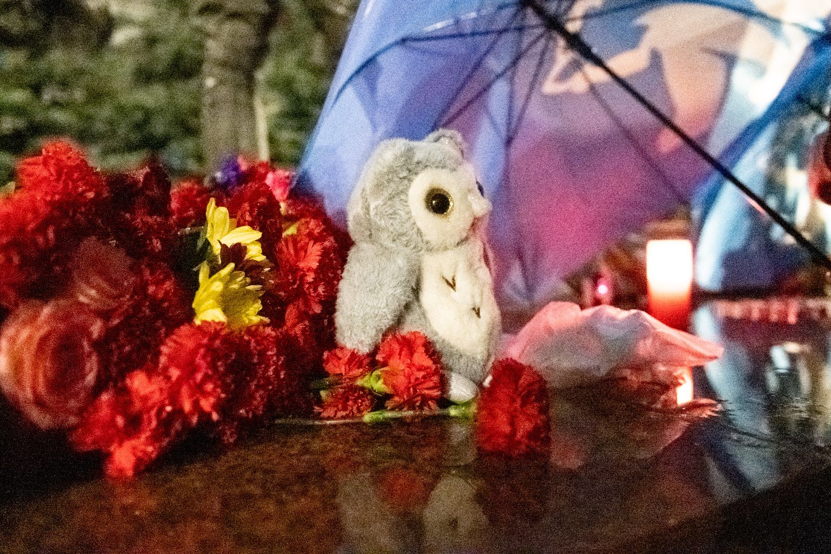 лыткарино, свеча памяти, общество,теракт,