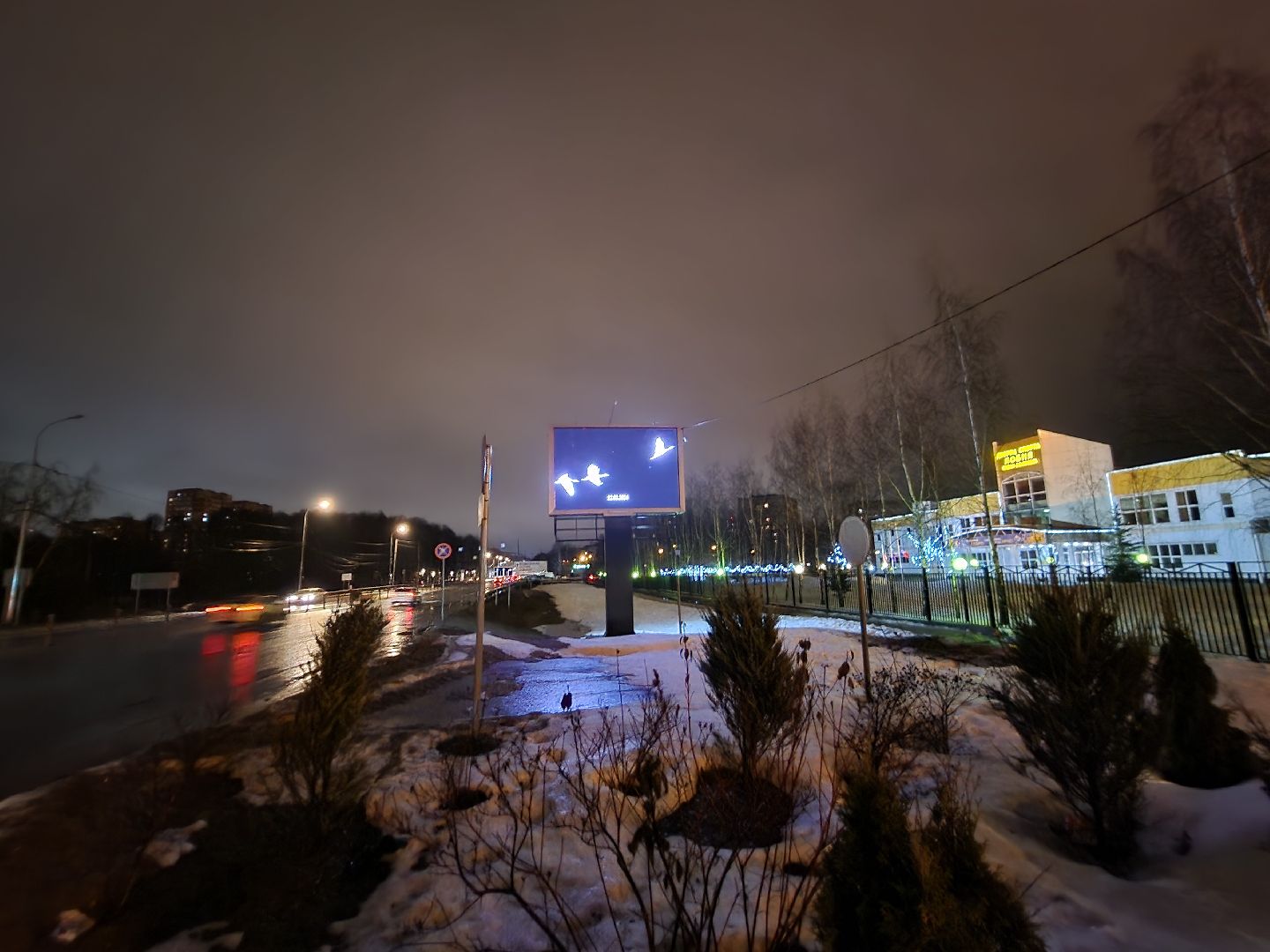 Акция Журавли, Лобня,теракт,